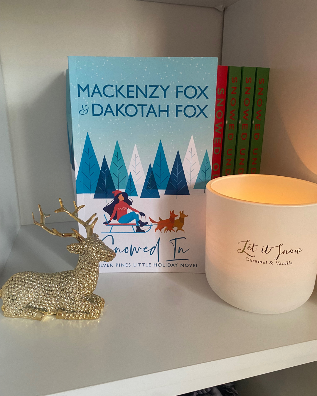 Snowed In - Paperback book by Mackenzy Fox & Dakotah Fox