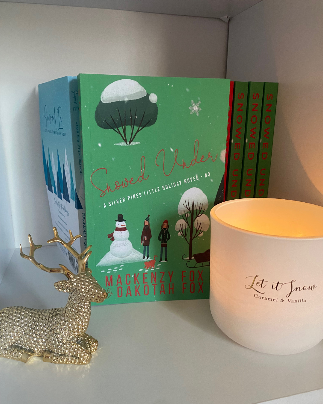 Snowed Under- Paperback book by Mackenzy Fox & Dakotah Fox Book 3