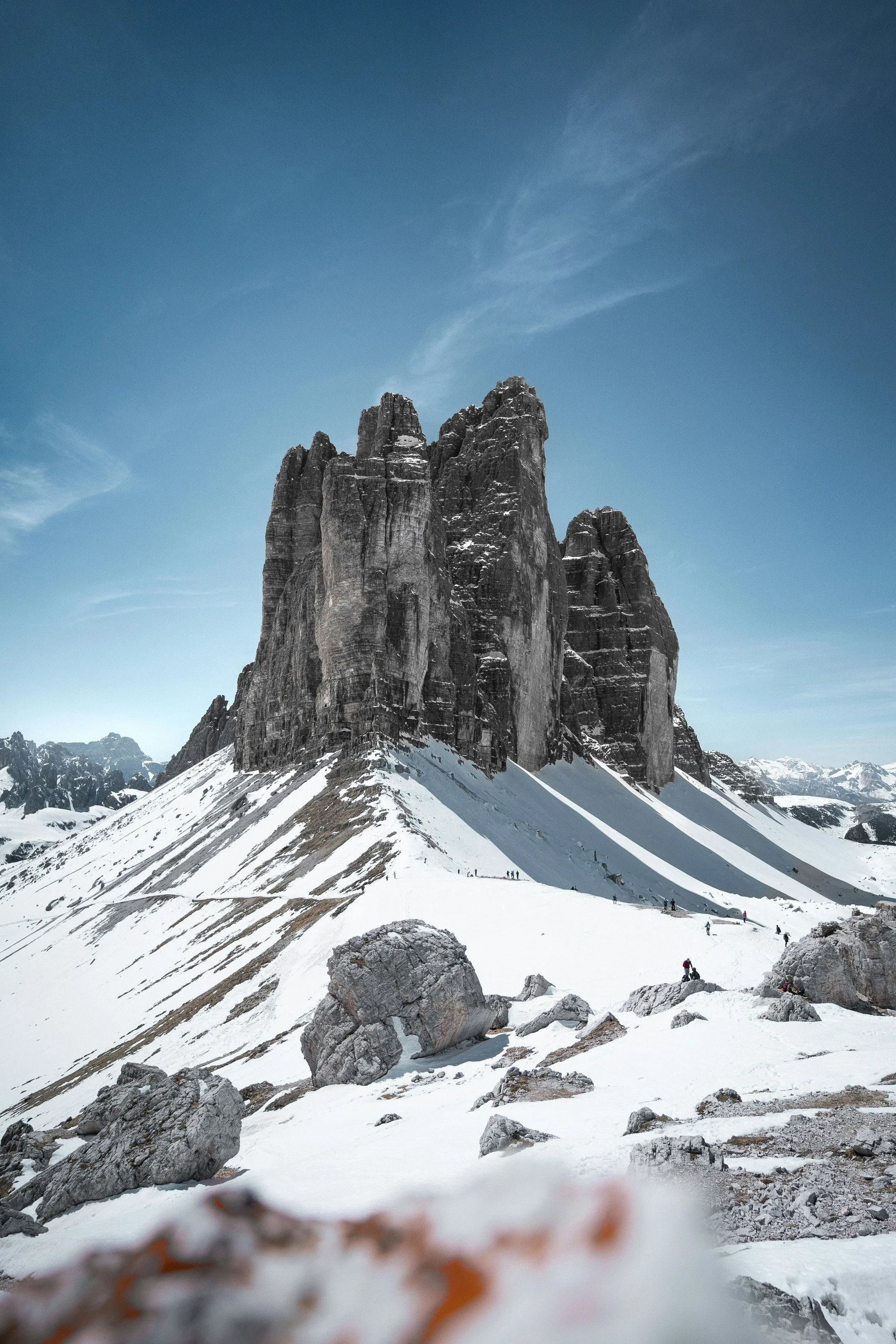 When Environment Thinks for Us: Why Learning and Leadership Are Biological Before They Are Strategic