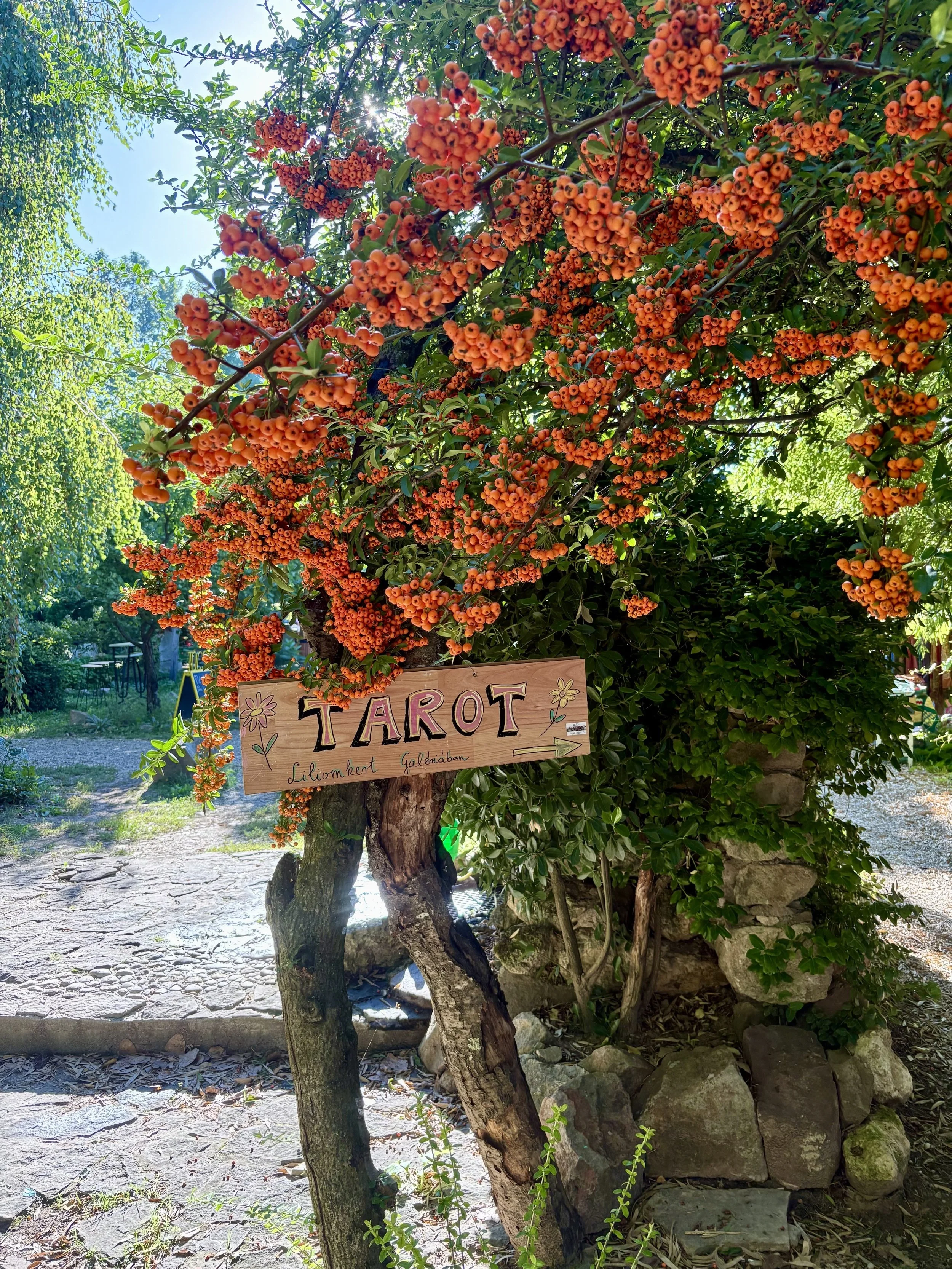geheimtipp-balaton-plattensee.jpg