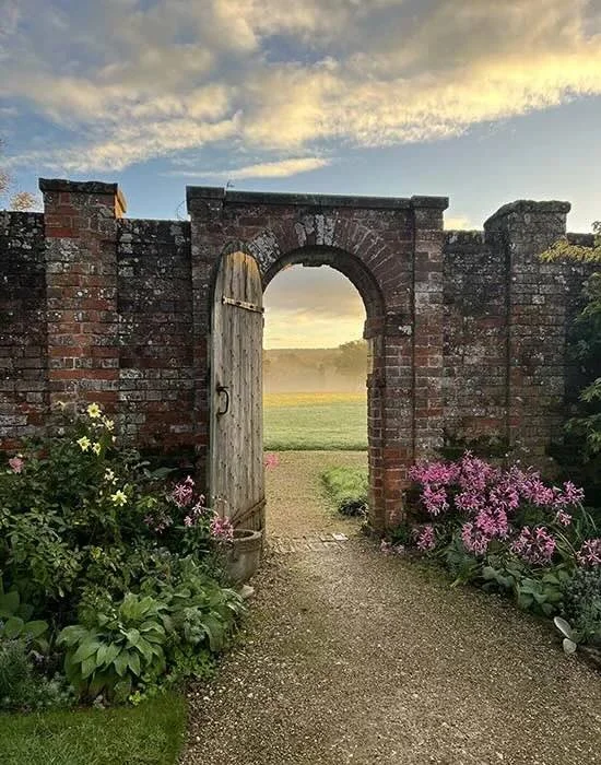 Cadhay x NSGW 1.jpeg