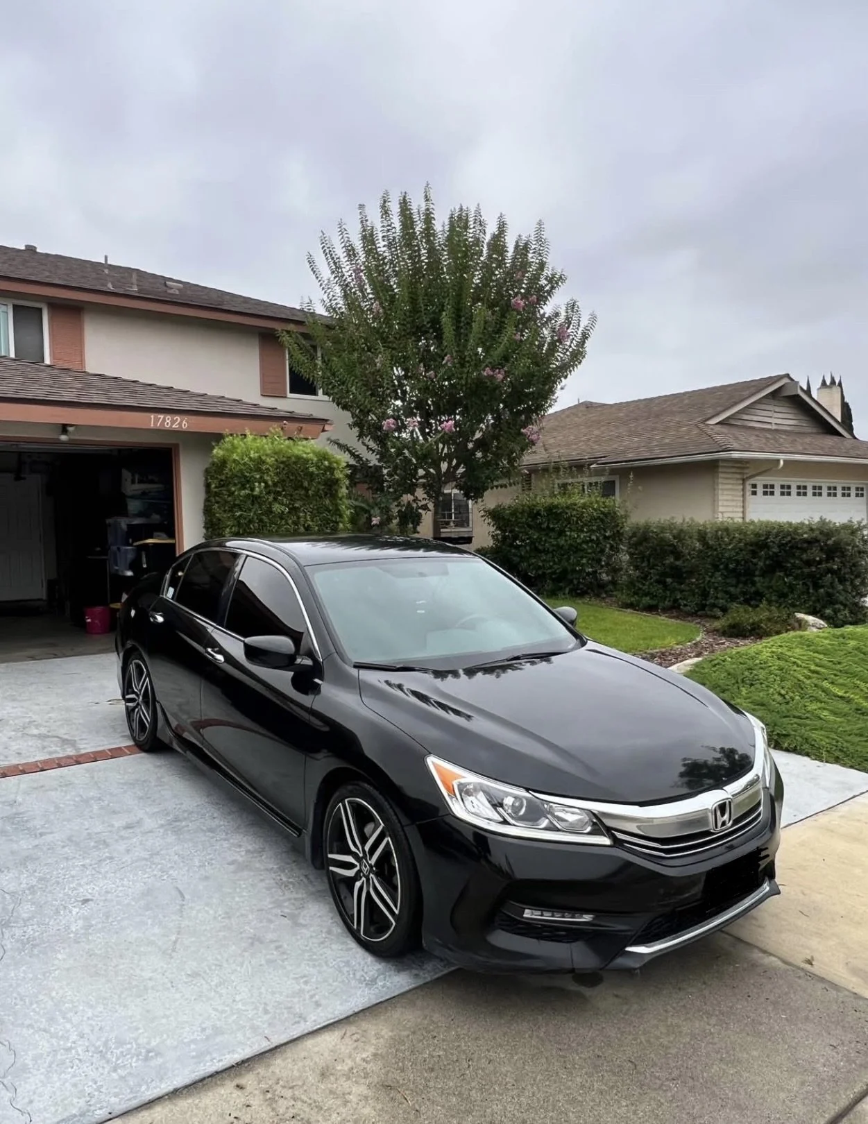 Black Honda sedan parked in a residential driveway on a cloudy day, with houses, trees, and green shrubs in the background.