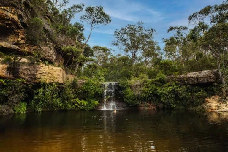 waterhole swimming
