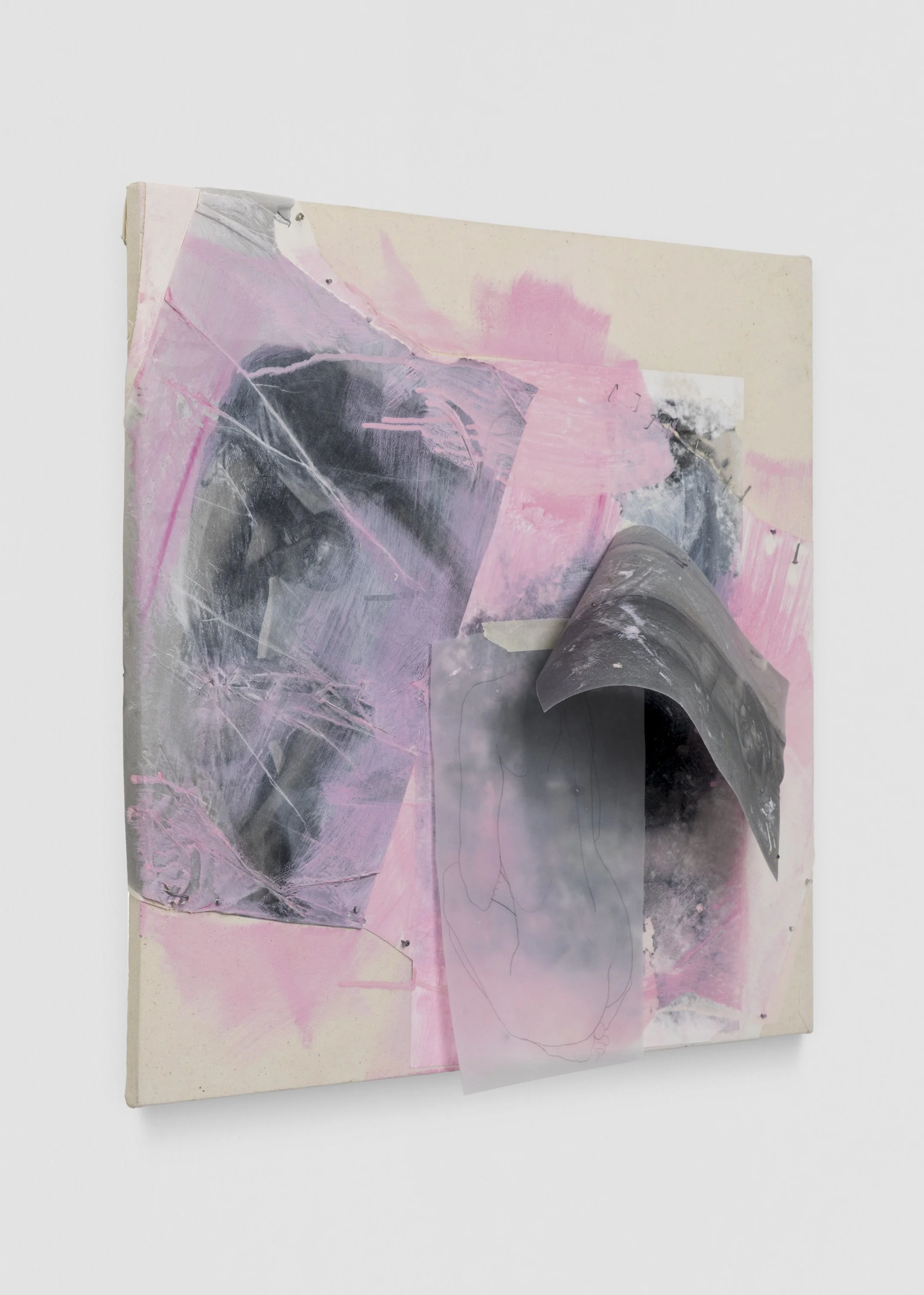 Dara Maillard