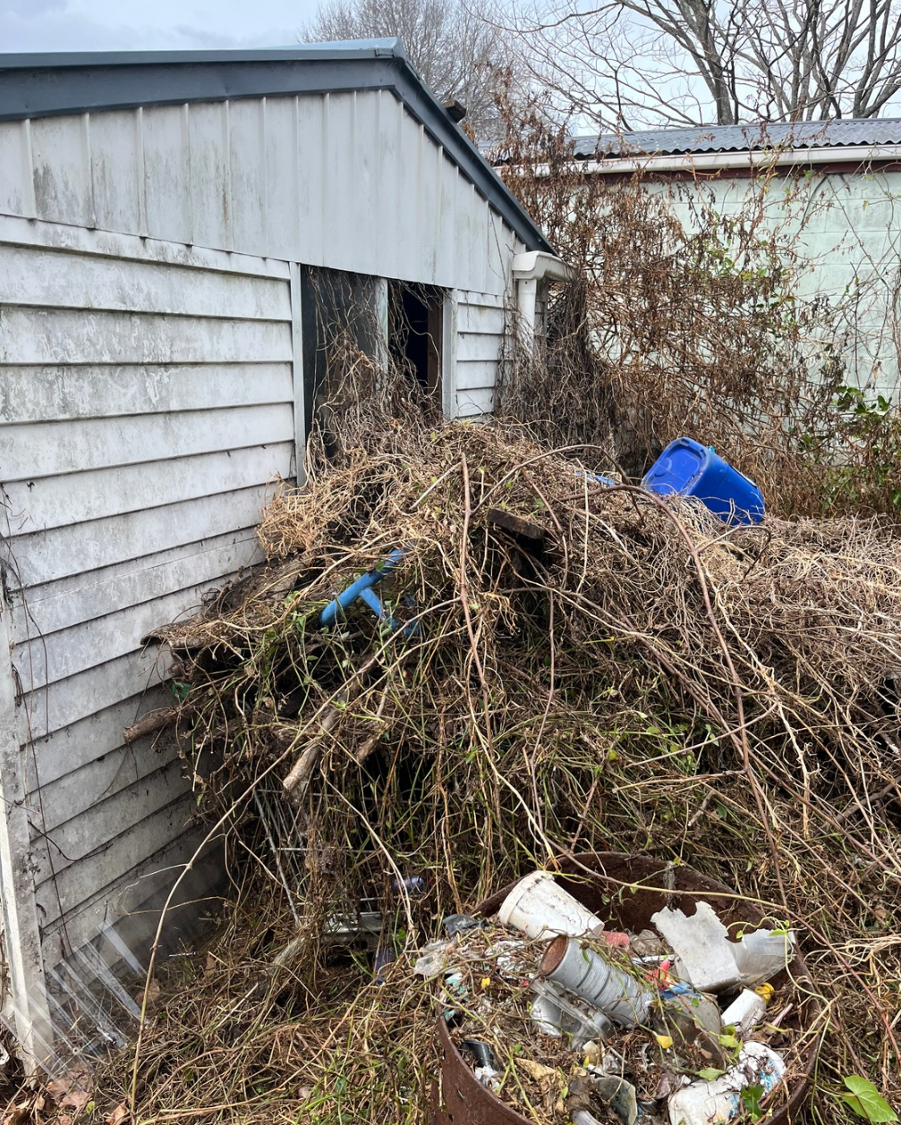 Rubbish and garden waste removal at a rental in Papamoa