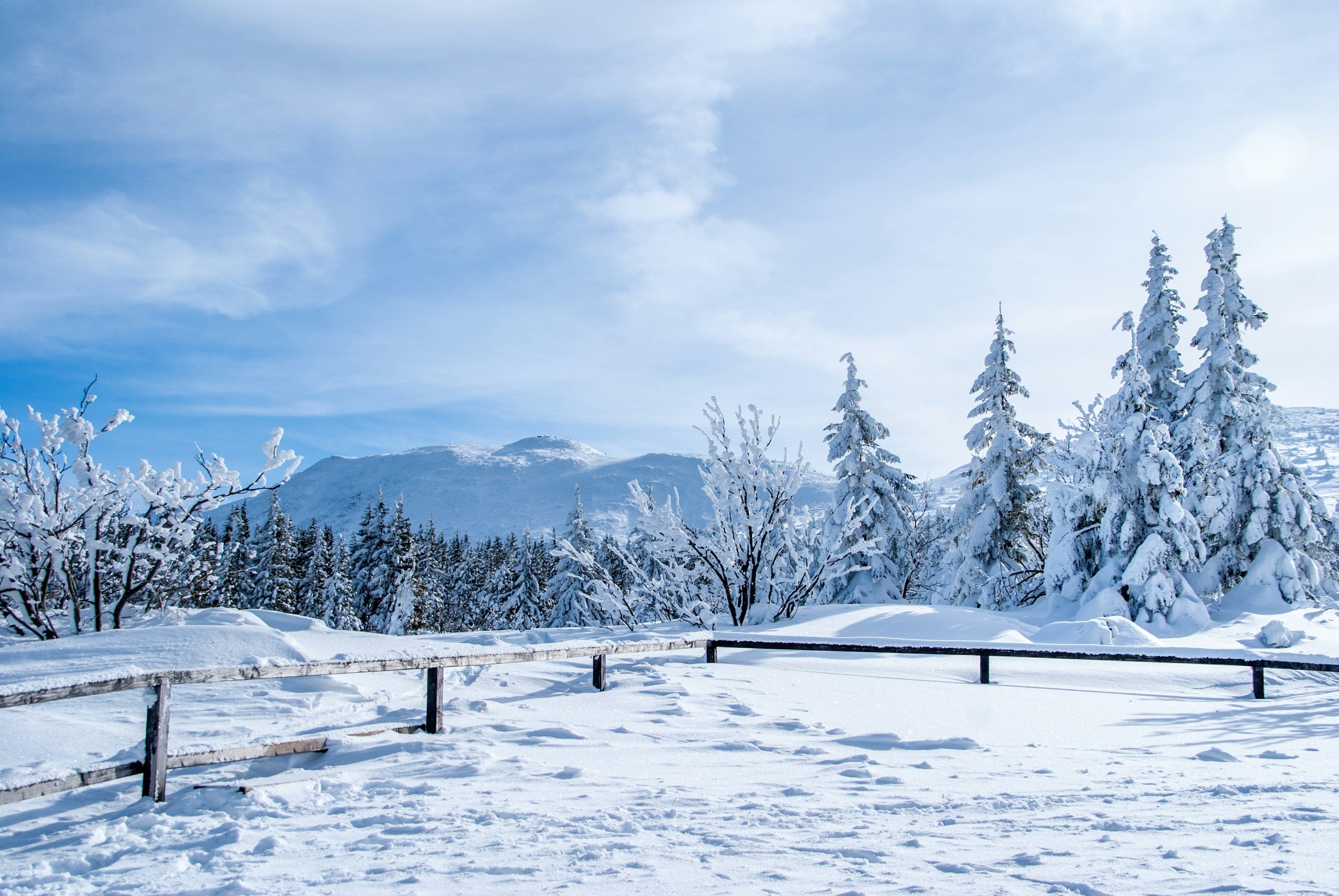 Snow-covered landscape with trees, mountains in the background, and a wooden fence in the foreground under a partly cloudy sky.