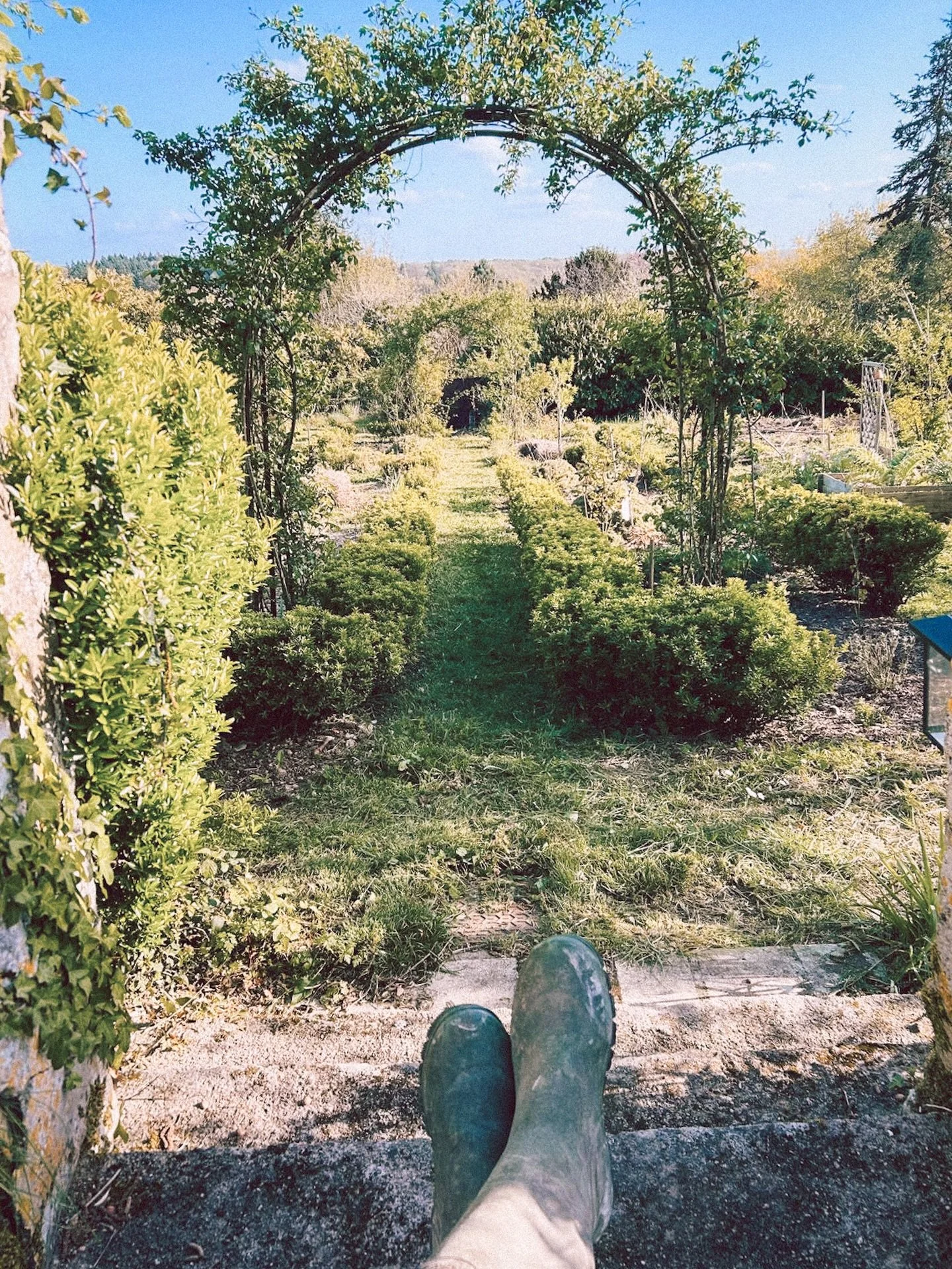 🌿 Le jardin du clo&icirc;tre se pr&eacute;pare &agrave; vous accueillir&hellip;
Nous travaillons actuellement pour cr&eacute;er un bel espace potager, avec des plantes aromatiques et m&eacute;dicinales 🌱🌿, et une petite grotte &agrave; la Vierge p
