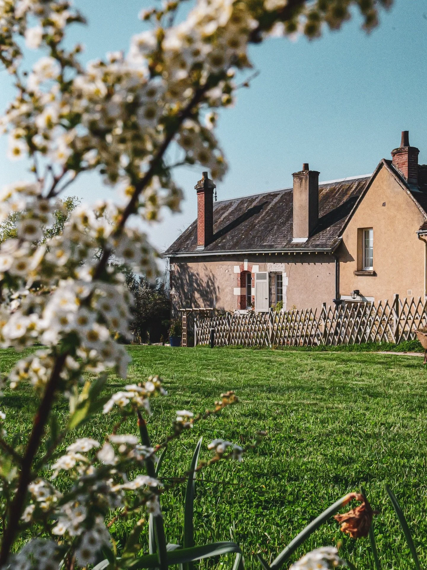 Profiter de la douceur des journ&eacute;es d&rsquo;avril, contempler la nature en pleine effervescence, 
Un coin de verdure pens&eacute; pour se retrouver, respirer&hellip; et simplement profiter. ✨