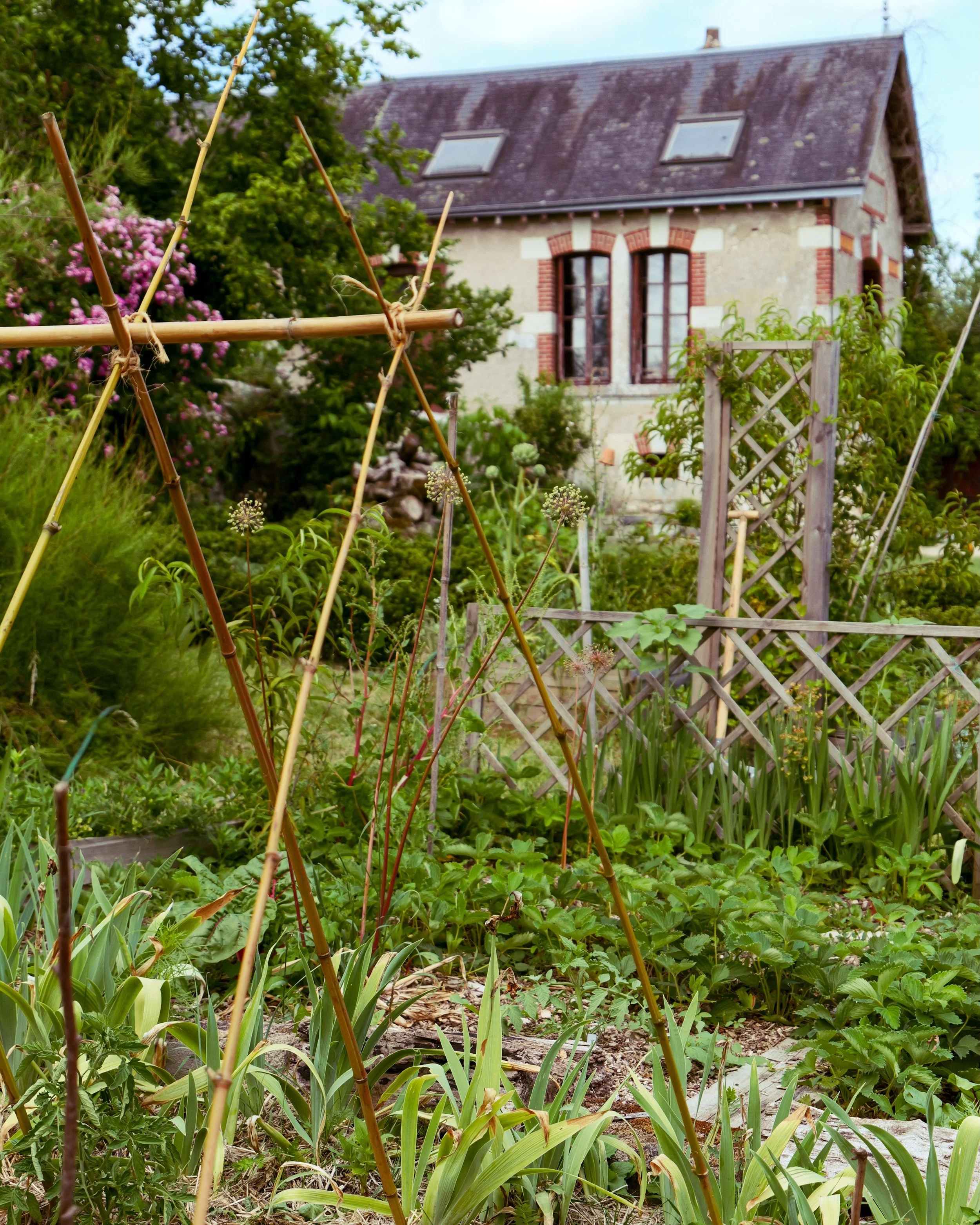 Le jardin du clo&icirc;tre se transforme doucement, au rythme des saisons.

Ces derni&egrave;res semaines, nous avons beaucoup d&eacute;sherb&eacute;, en privil&eacute;giant le paillage pour pr&eacute;server l&rsquo;humidit&eacute; du sol et limiter 