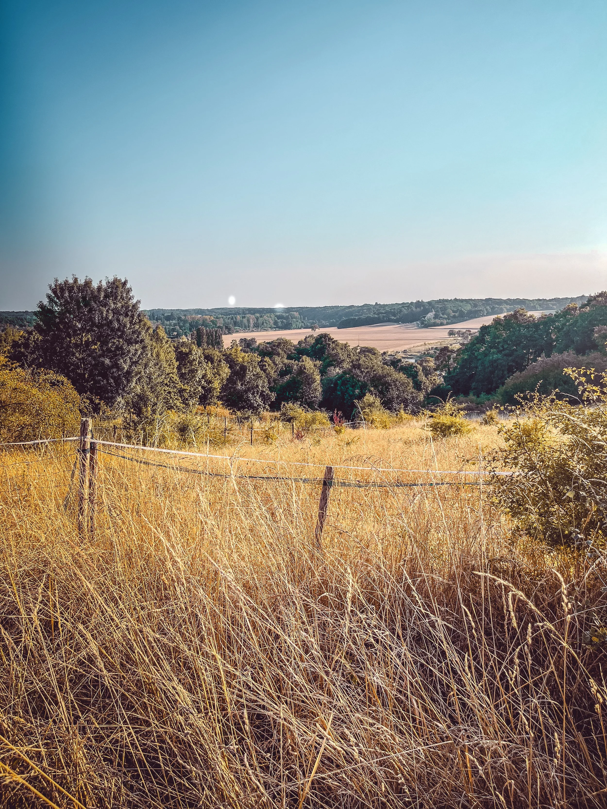 Un paysage champêtre avec des champs, des arbres et un ciel clair.