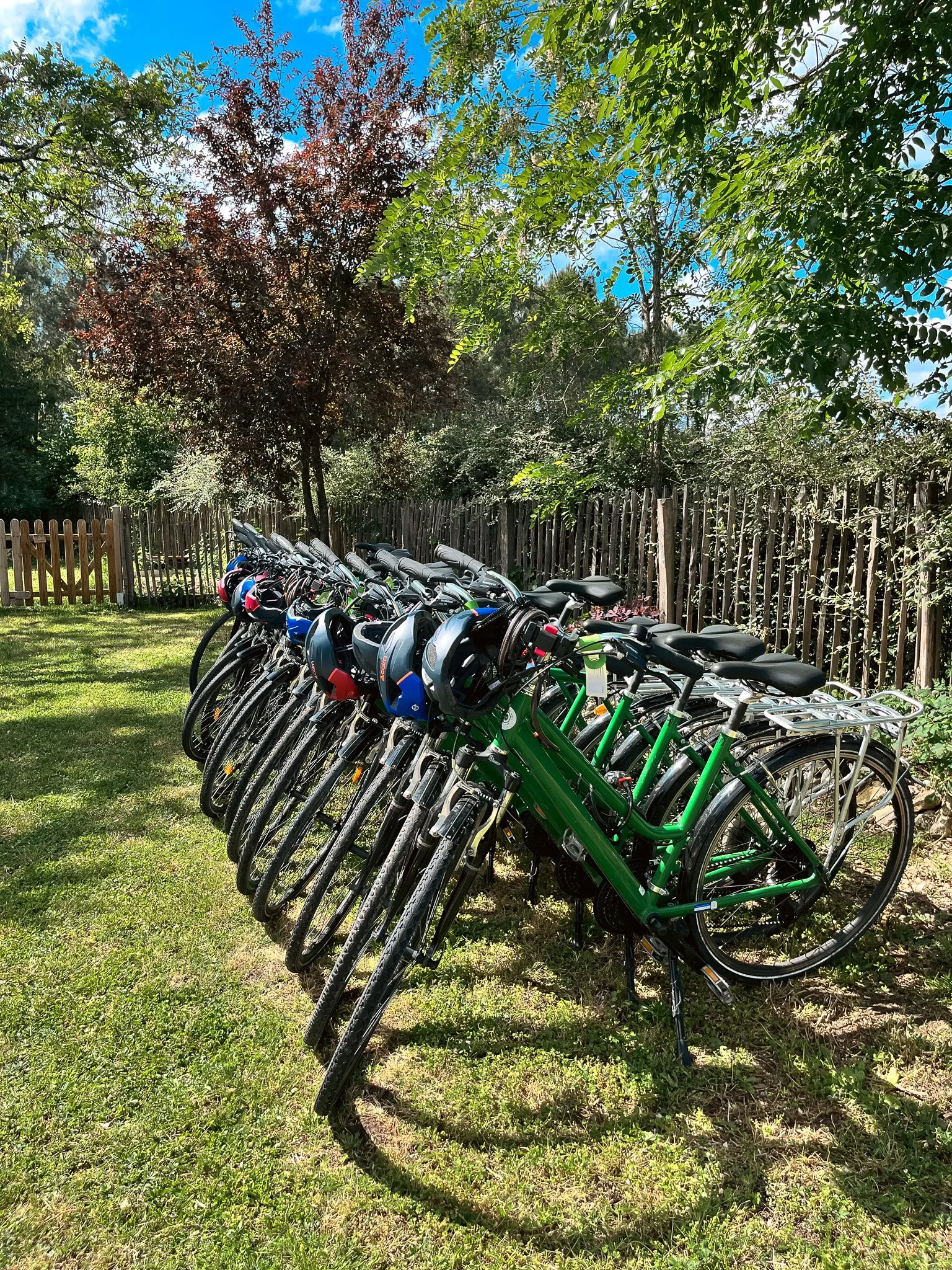 location-vélos verts- blois.jpg
