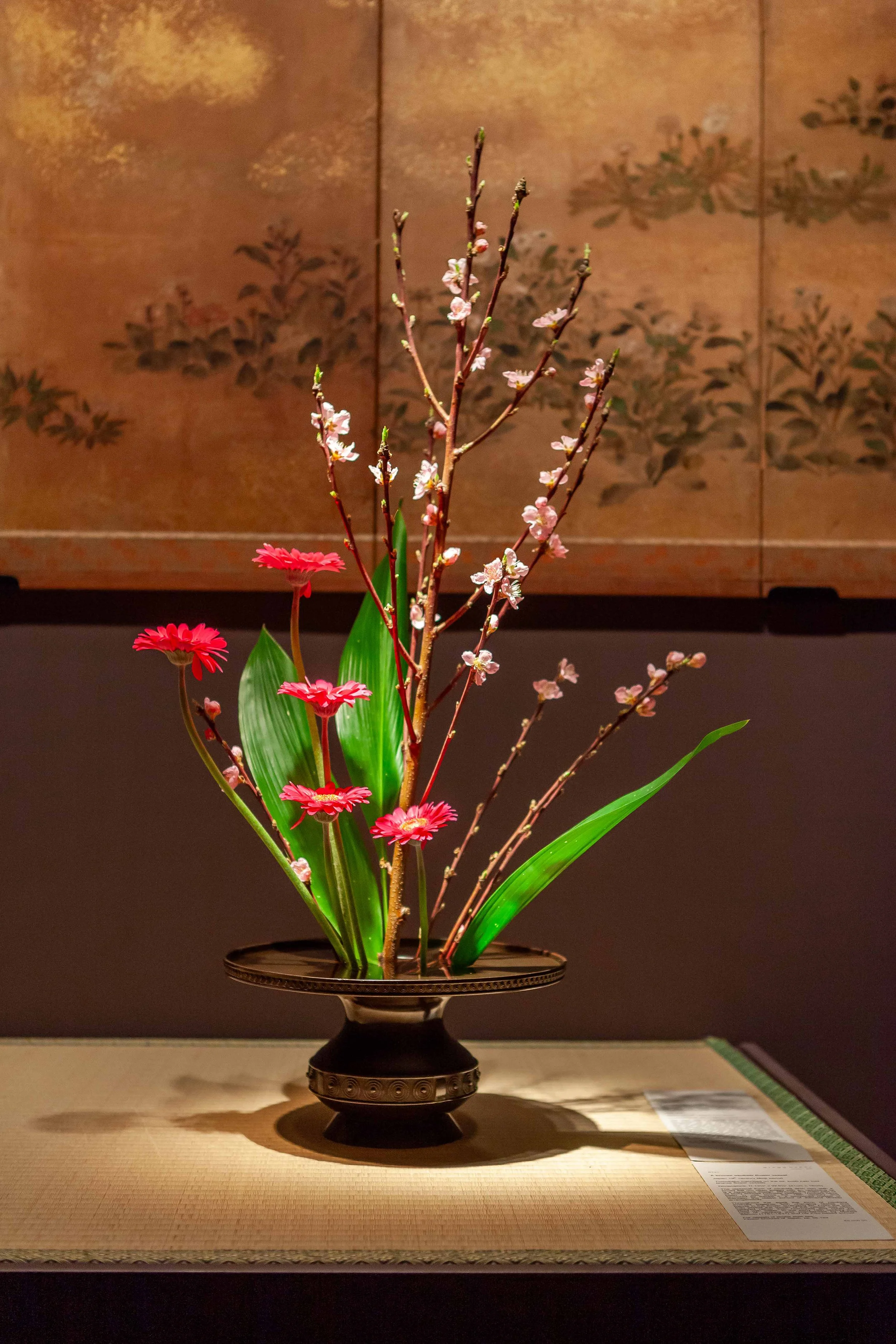 20130323-_MG_8202.jpg
