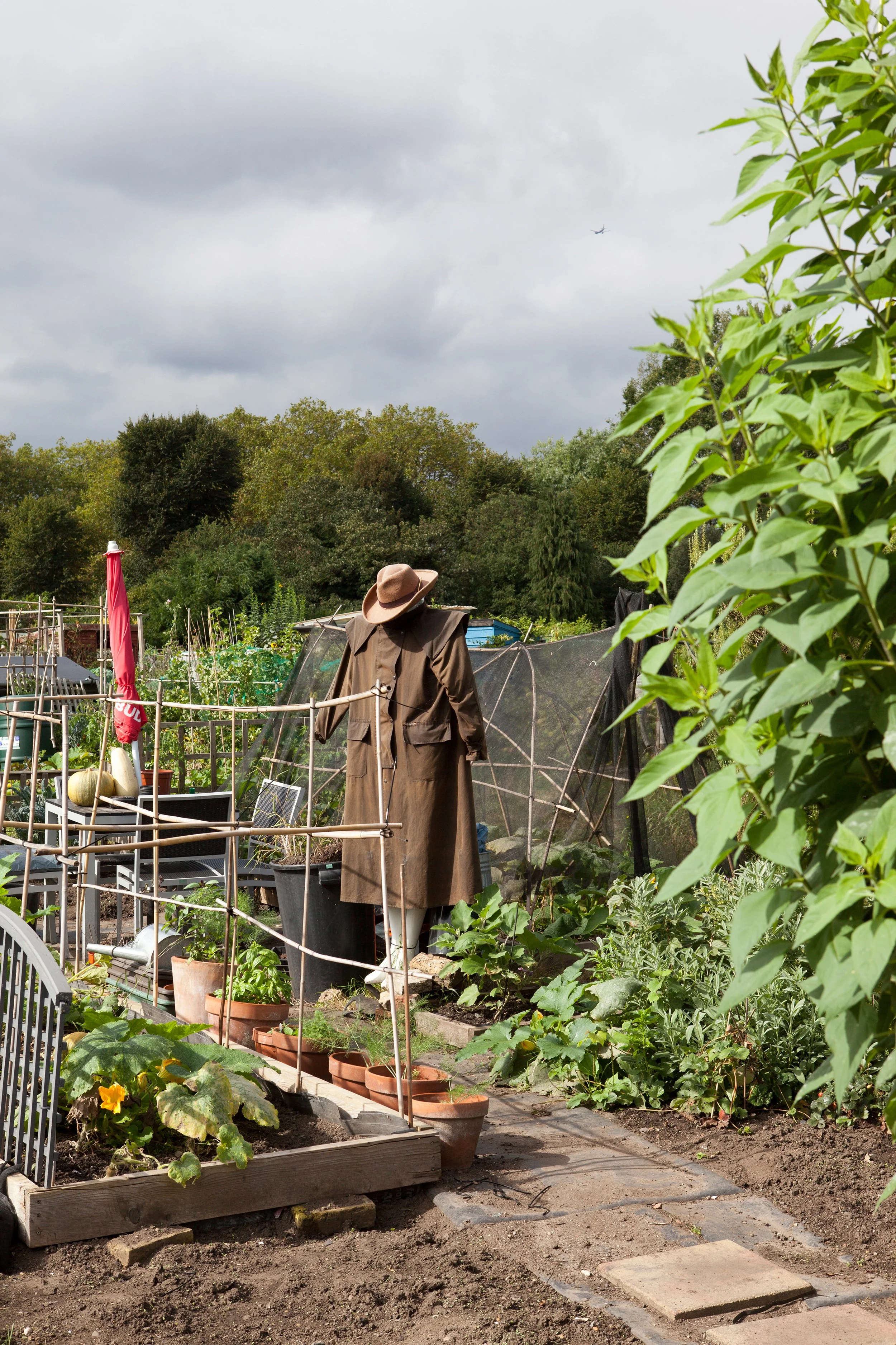 Aus der Serie „London Allotments“, 2015-2018