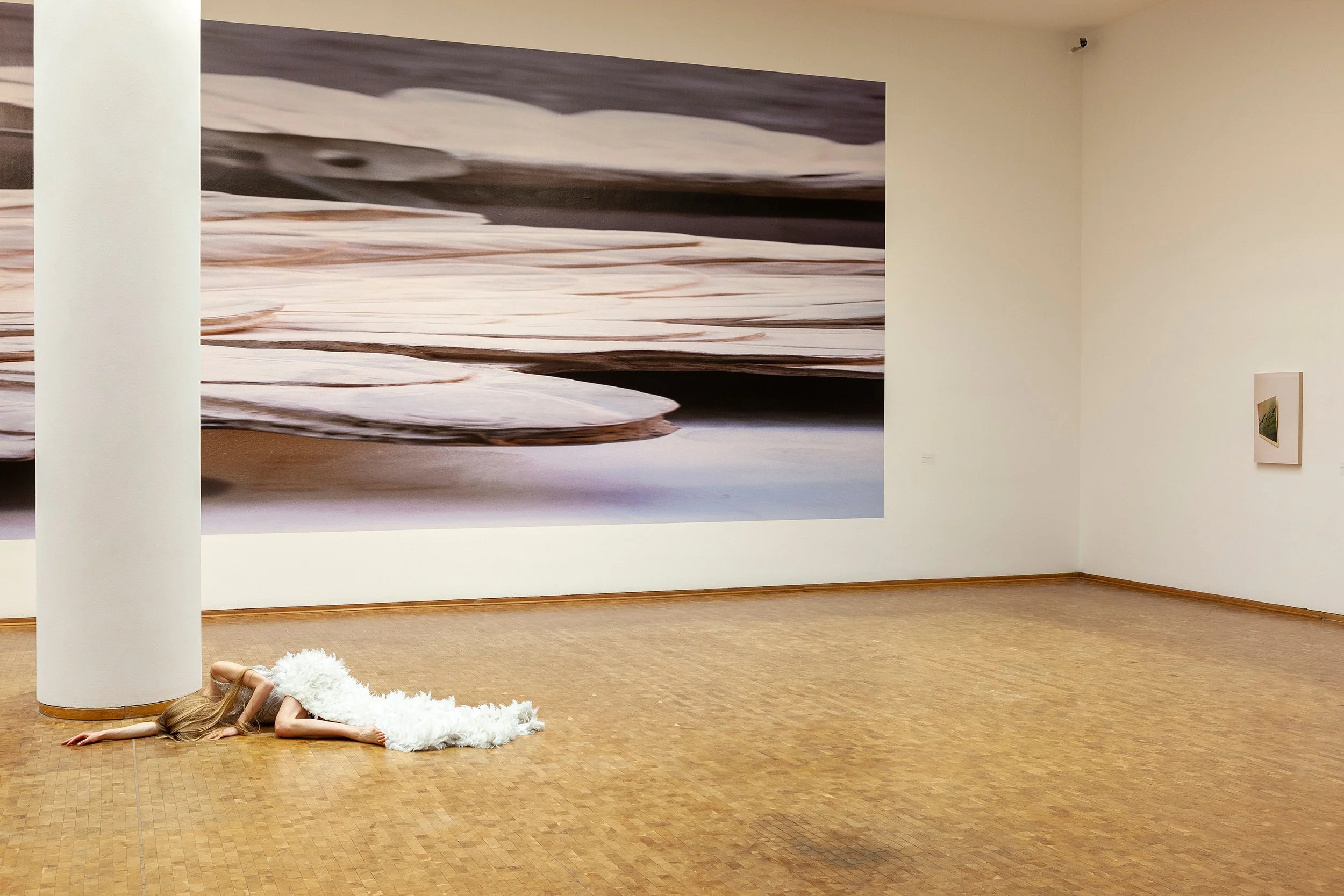 „Louise Lawler: Adjusted“, Museum Ludwig, Köln“, 2014