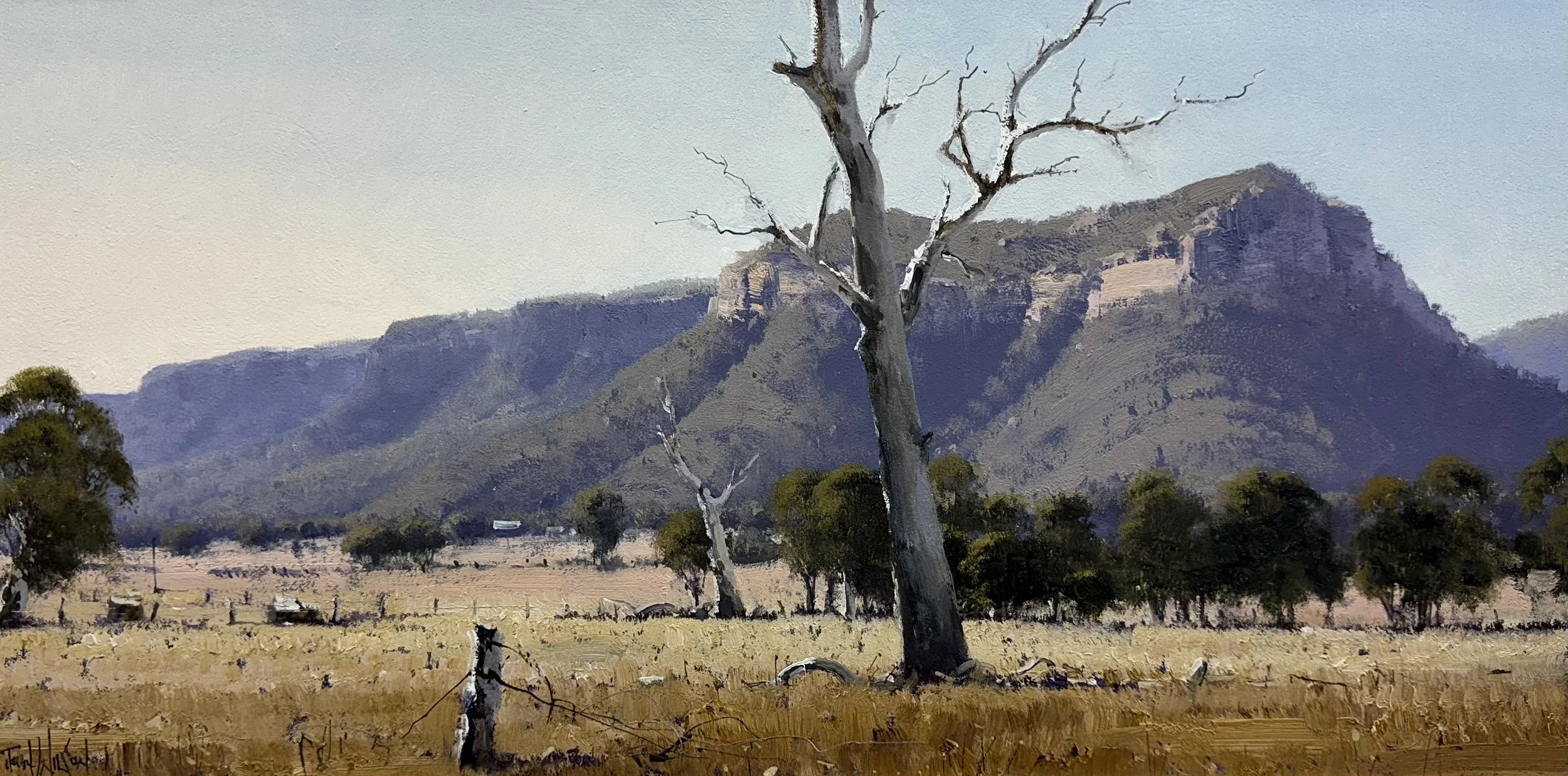 Capertee Valley Pastoral - NSW 28.jpg
