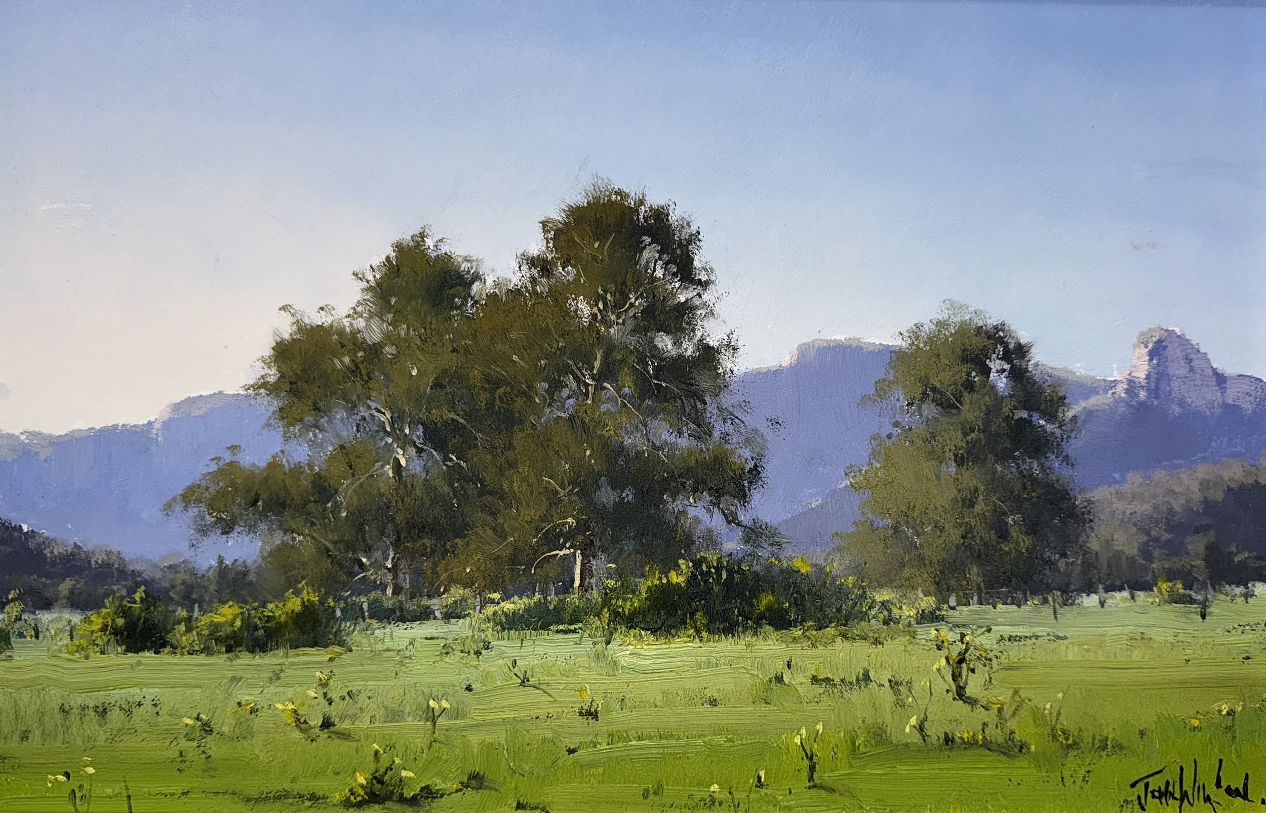 The Thistle Paddock - Capertee  45.jpg