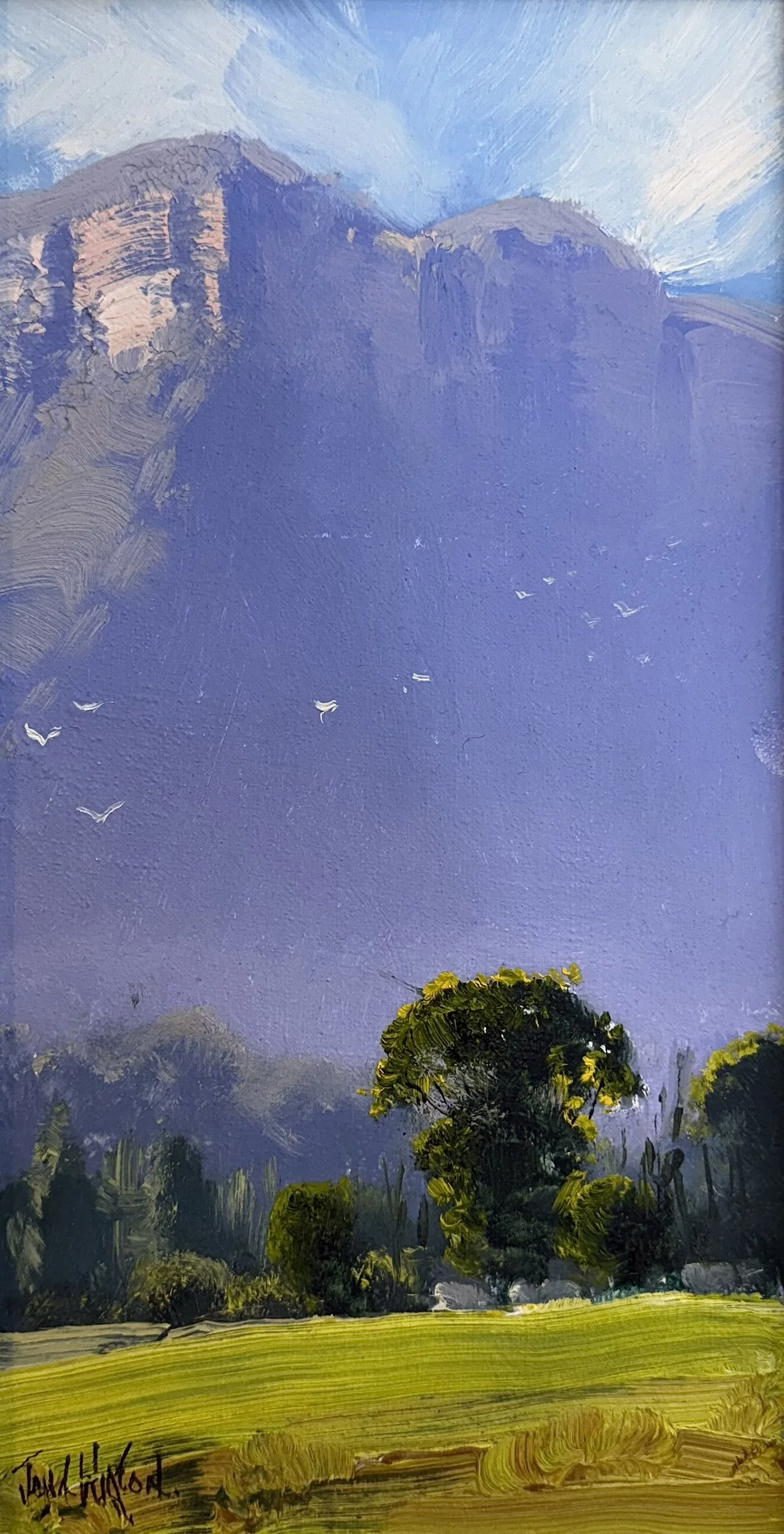 Megalong Pastoral - NSW 26.jpg