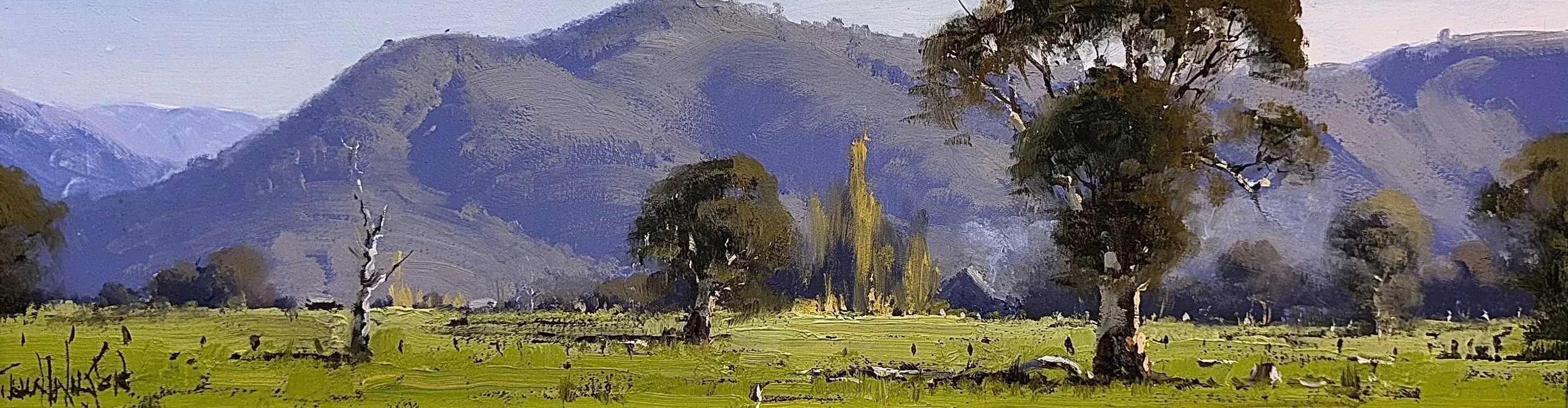 Albury Landscape 42.jpg