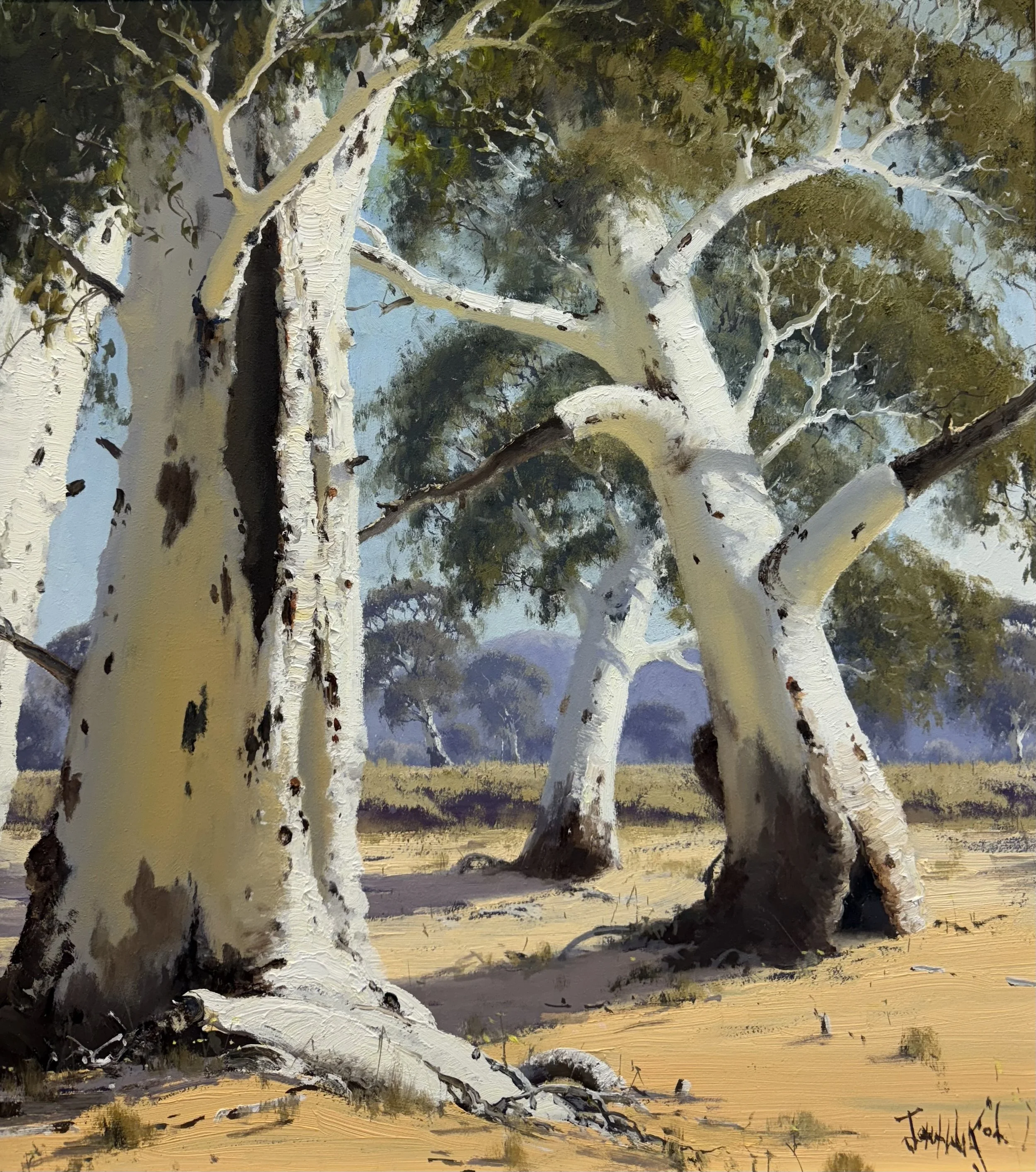 Albert’s Ghost Gums at Roe Creek, Honeymoon Gap, NT 22.jpg