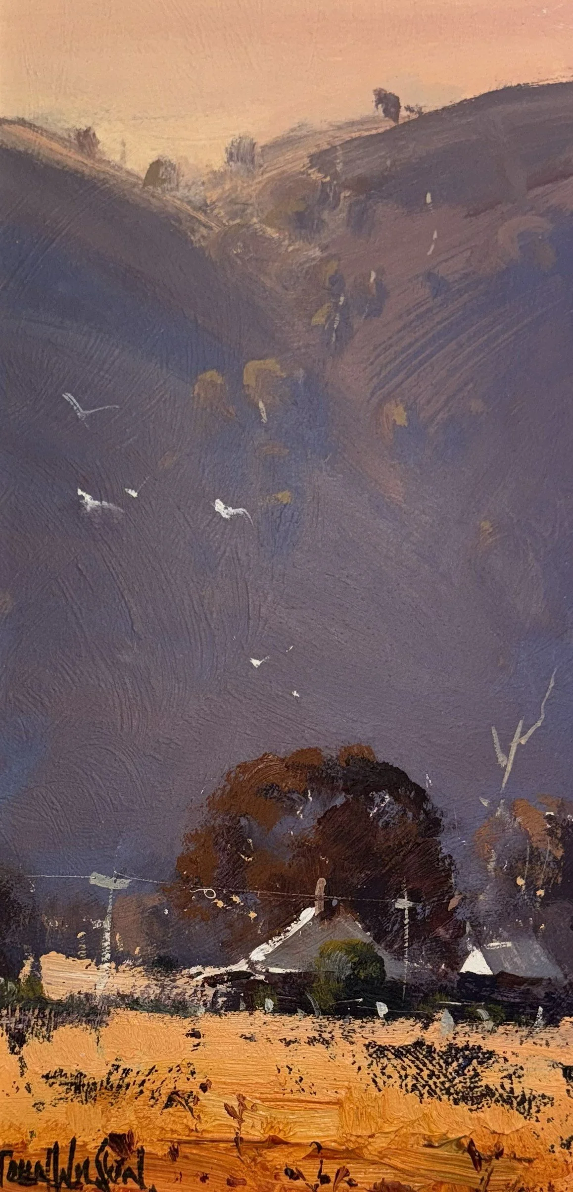 Grenfell Pastoral- Grenfell, NSW