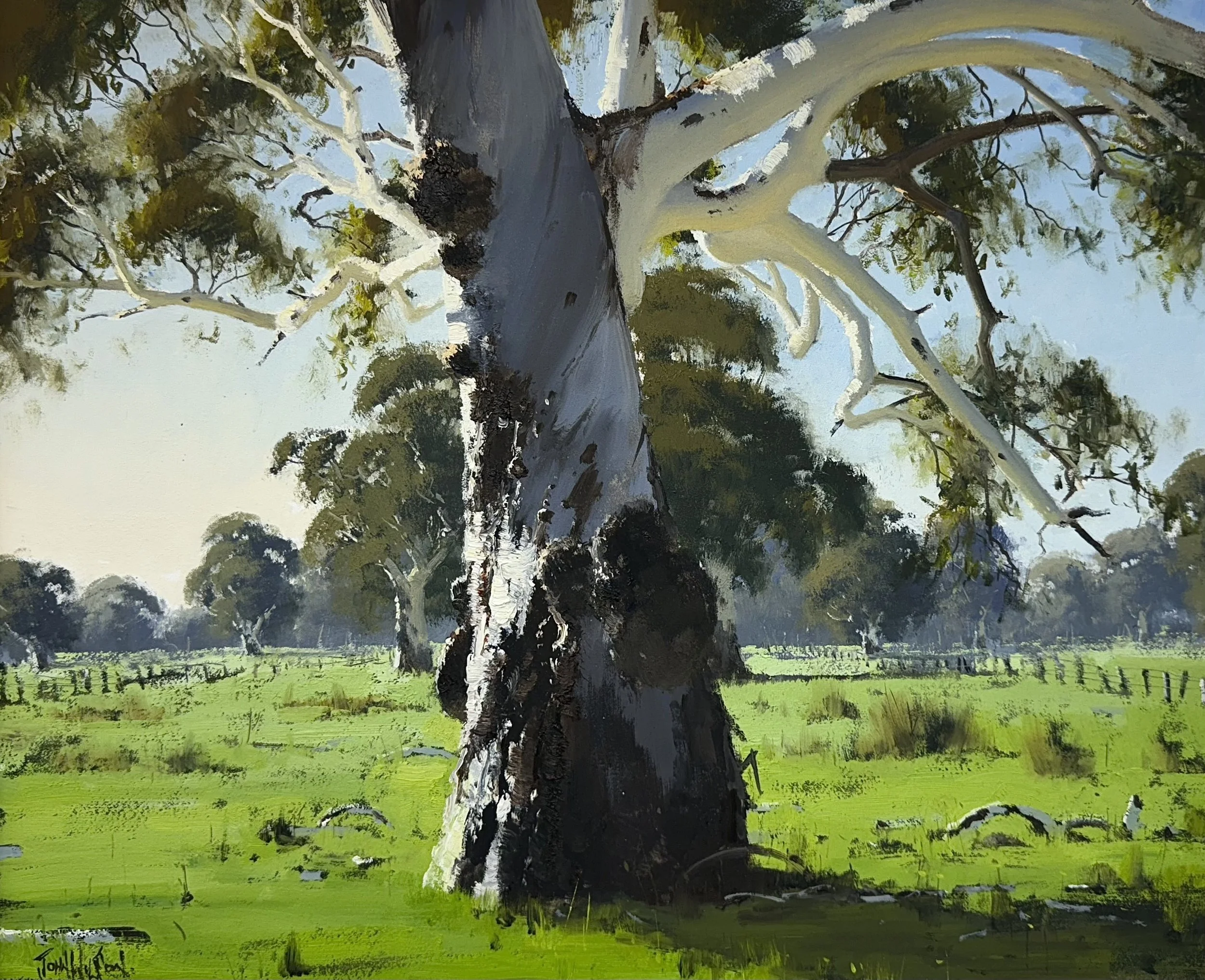 The Old Warrior 51.jpg