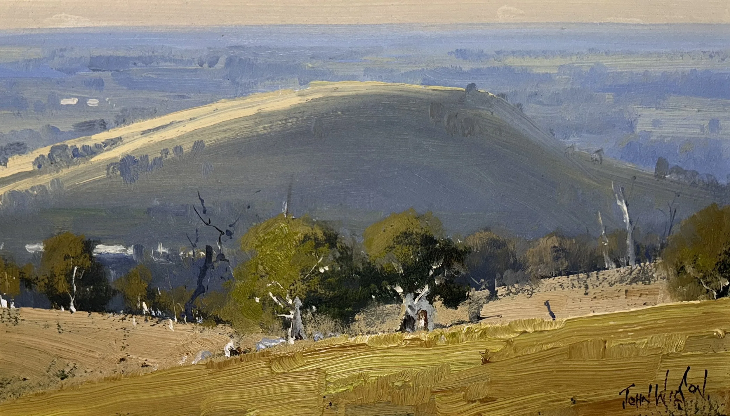 Afternoon Atmosphere at Mt Major, Dookie Vic 47.jpg
