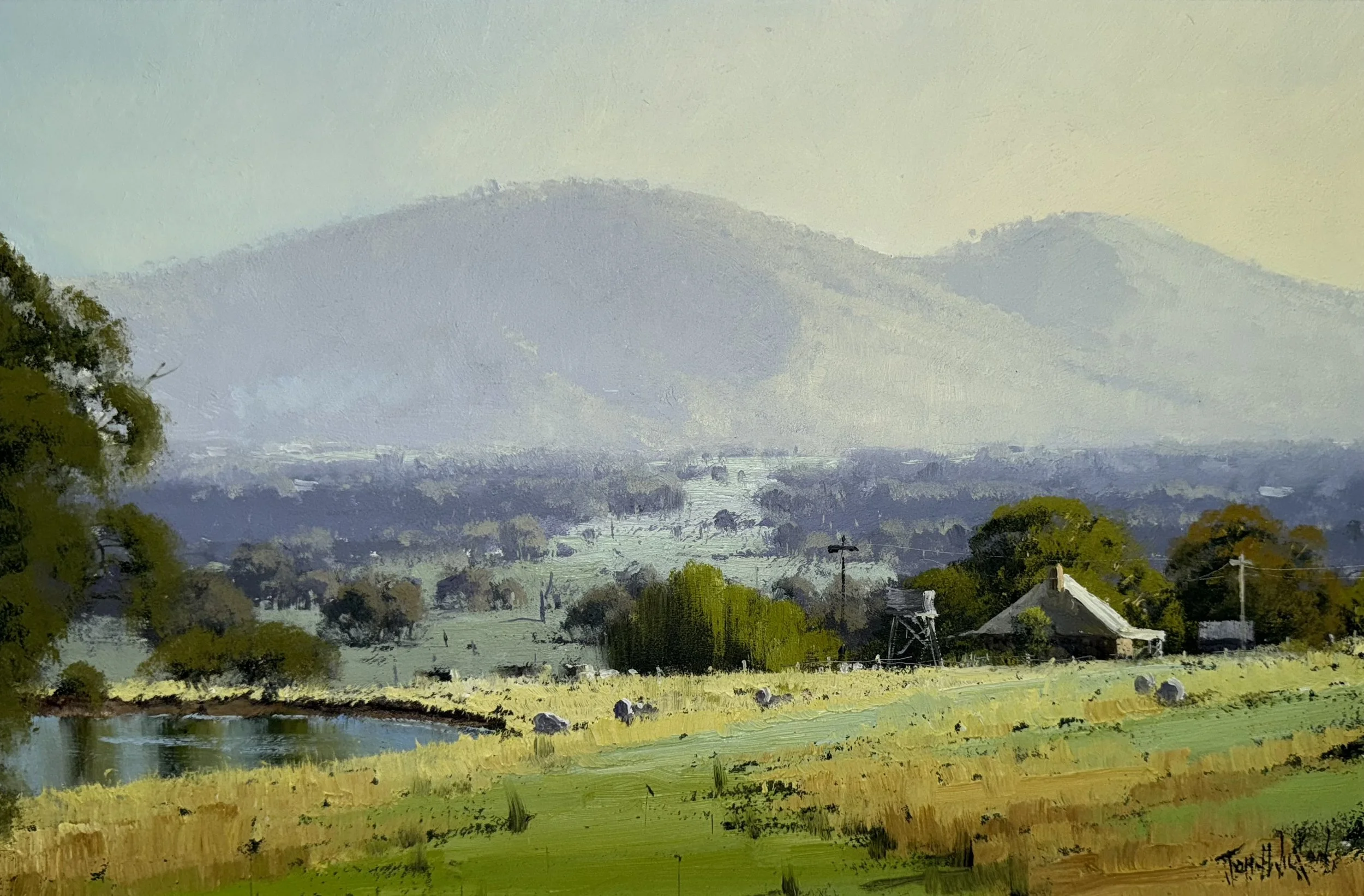Grenfell Pastoral - NSW 46.jpg