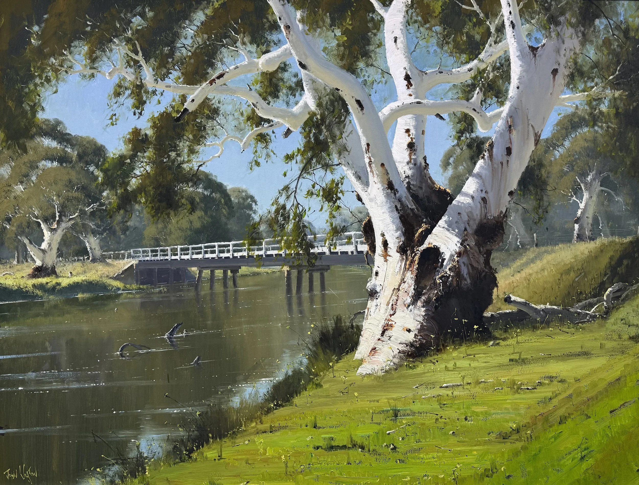Murray River Warrior - VIC 19.jpg