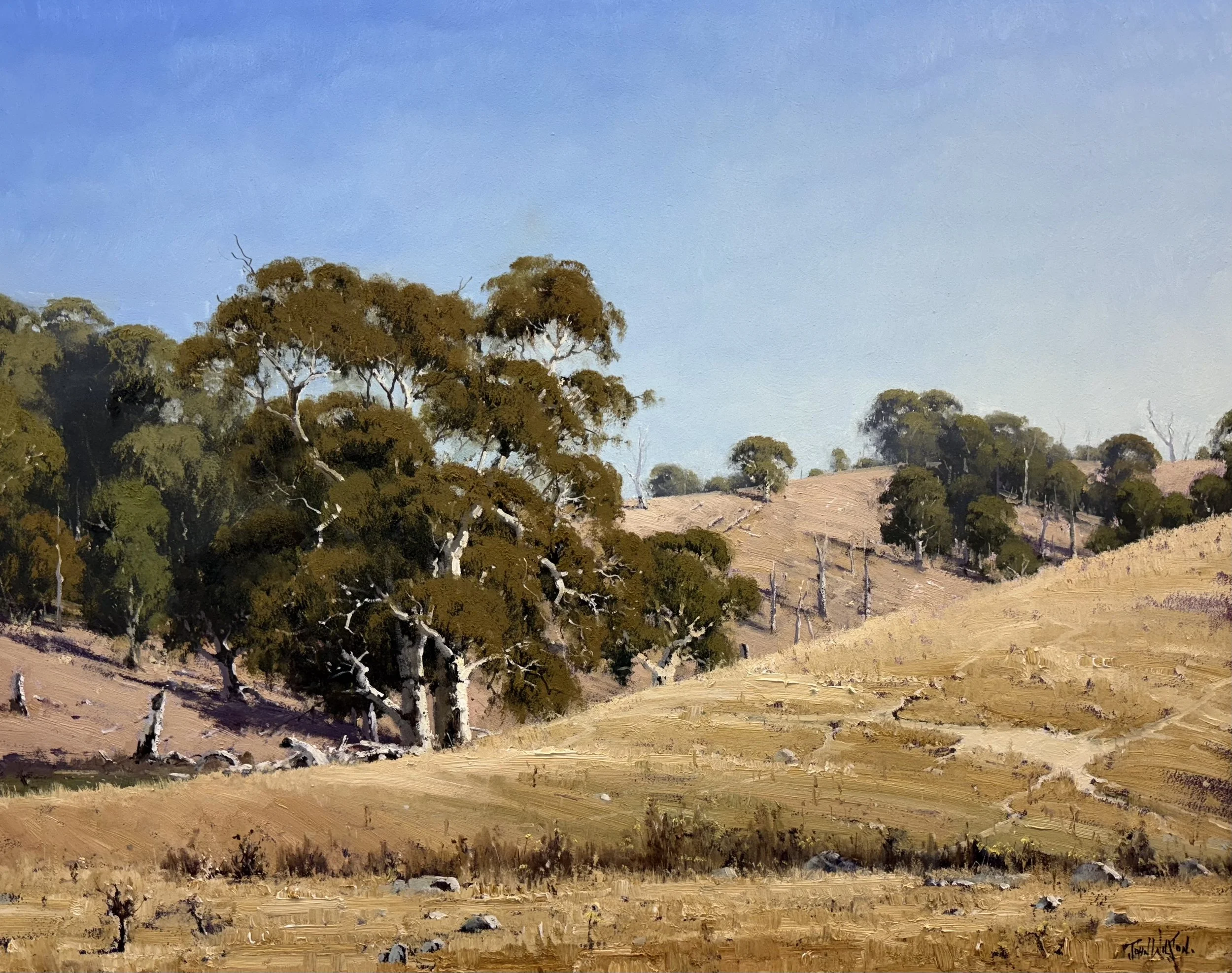 Drought Pastoral at Tumut NSW 50.jpg