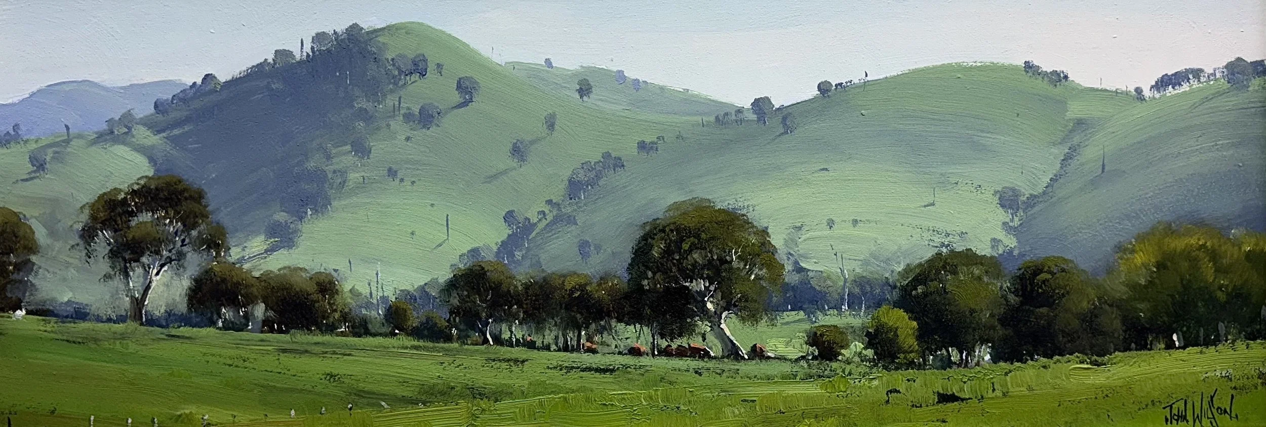 Gundagai Green - NSW 14.jpg