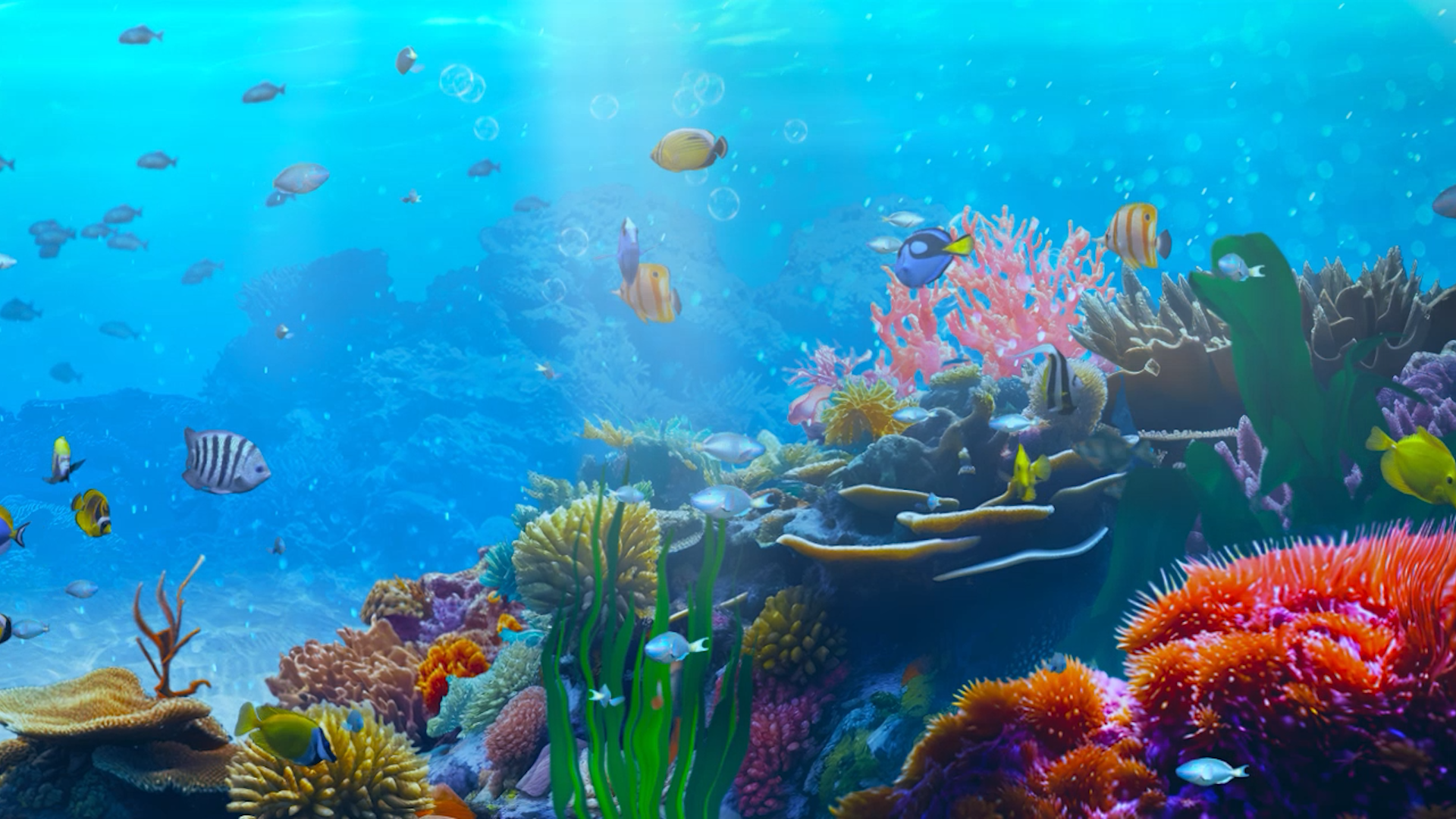 London Hippodrome Casino - Harmony Reef
