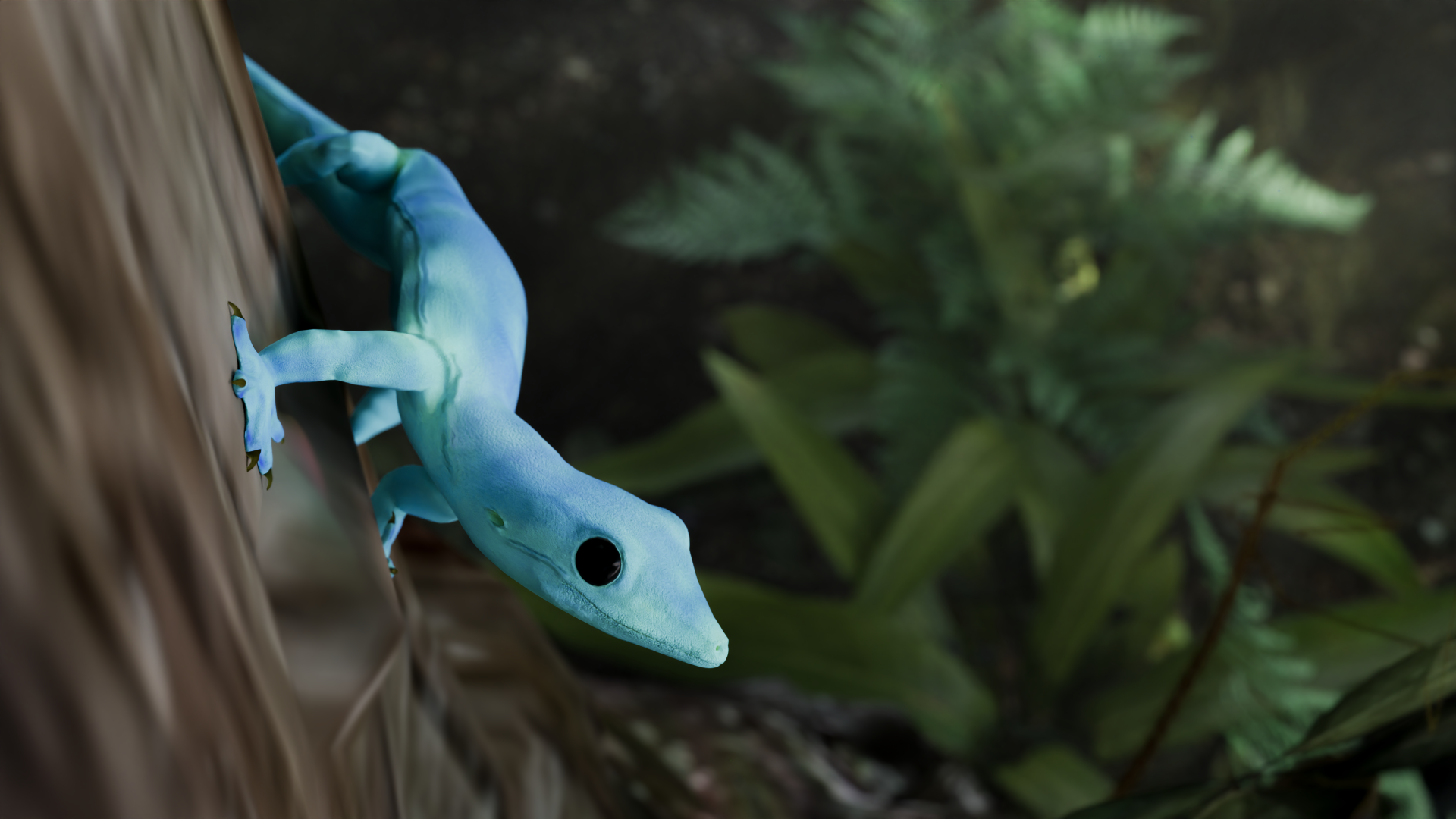 Works_Page_Ideaworks_Window_Into_The_Rainforest_Carousel_05.png