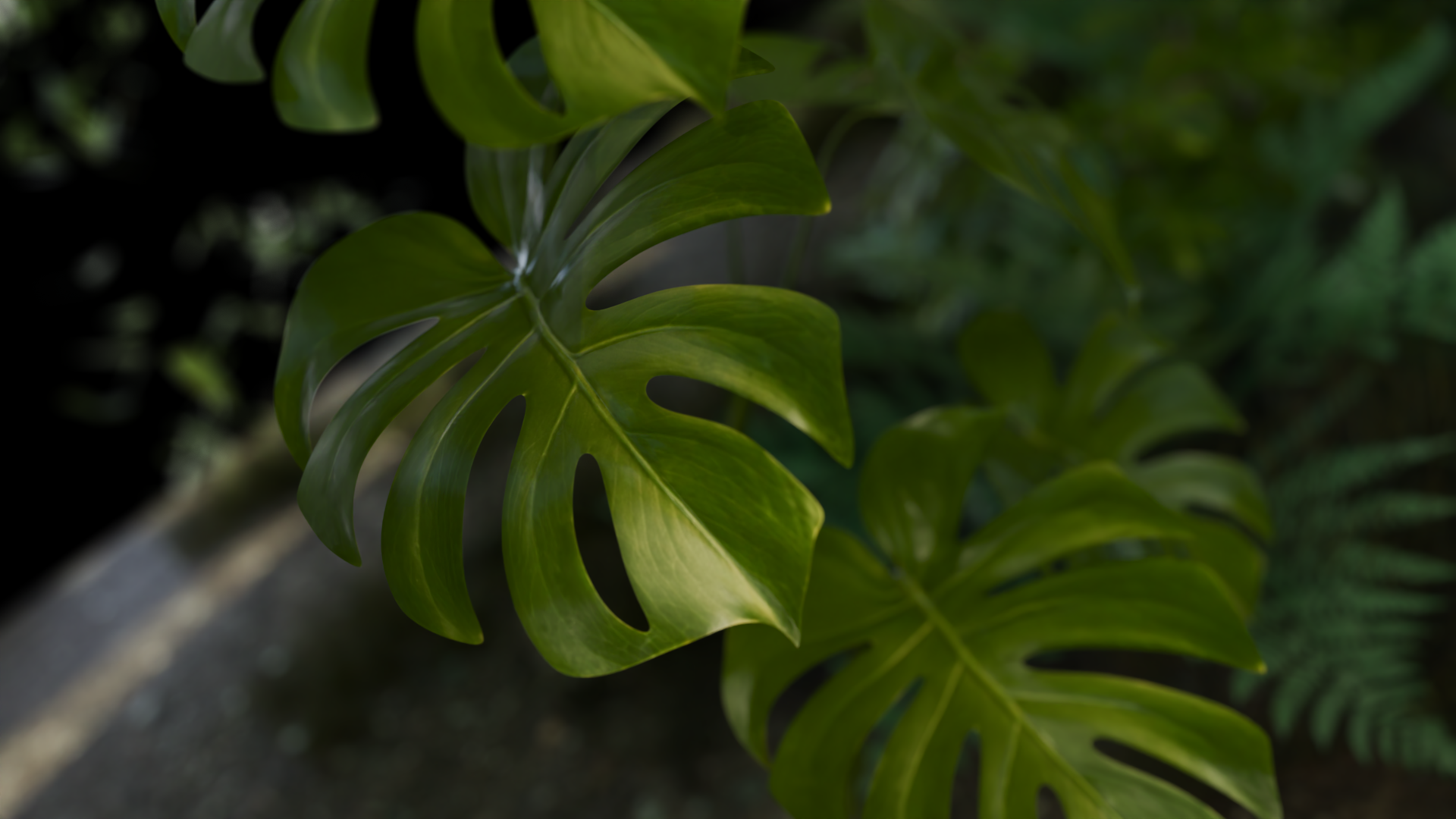 Works_Page_Ideaworks_Window_Into_The_Rainforest_Carousel_01.png