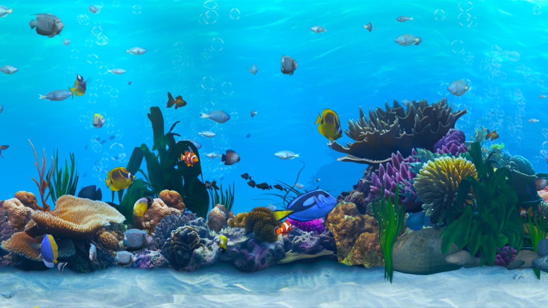 Works_Page_Hippodrome_Casino_Harmony_Reef_Carousel_02.png