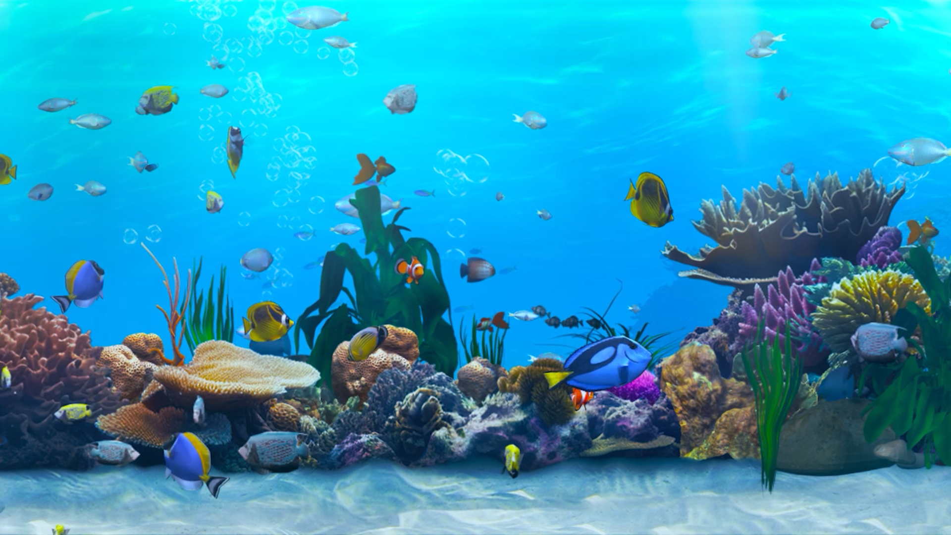 Works_Page_Hippodrome_Casino_Harmony_Reef_Carousel_05.png