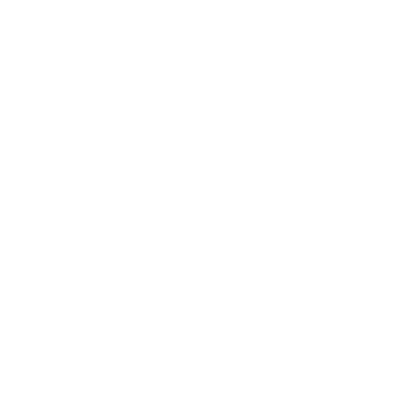 iiyama_Logo.png