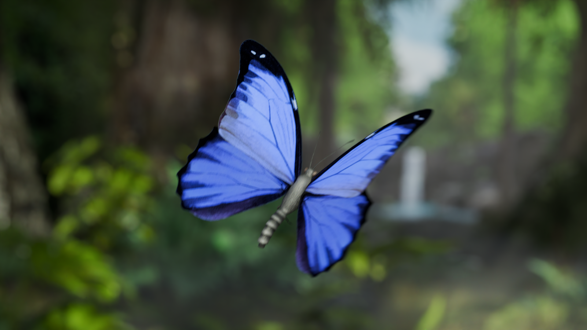Works_Page_Ideaworks_Window_Into_The_Rainforest_Carousel_04.png