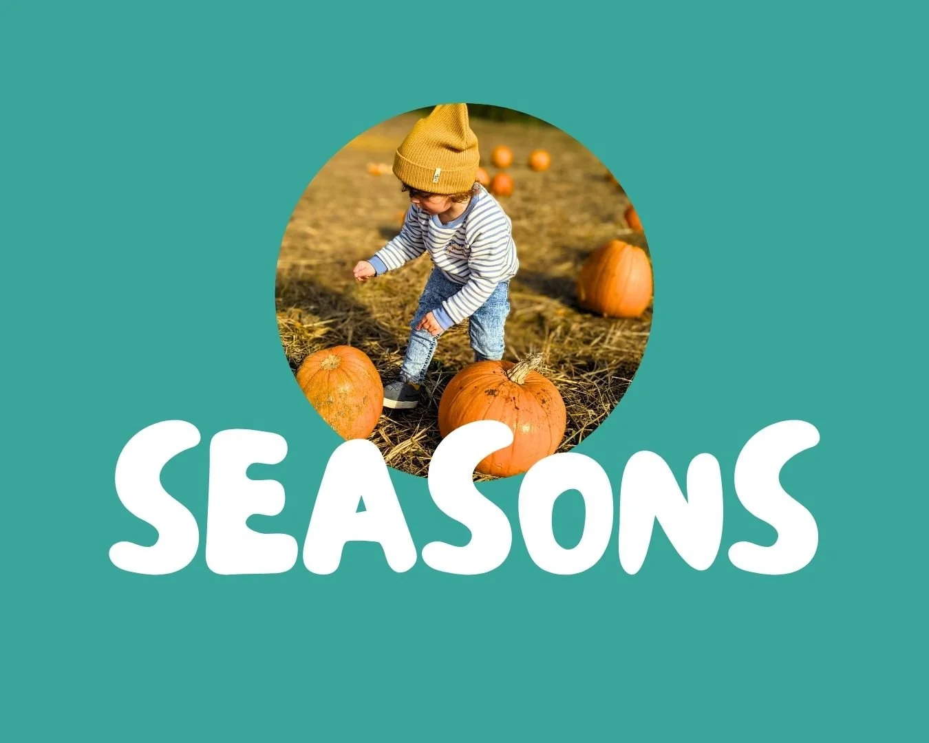 Seasons