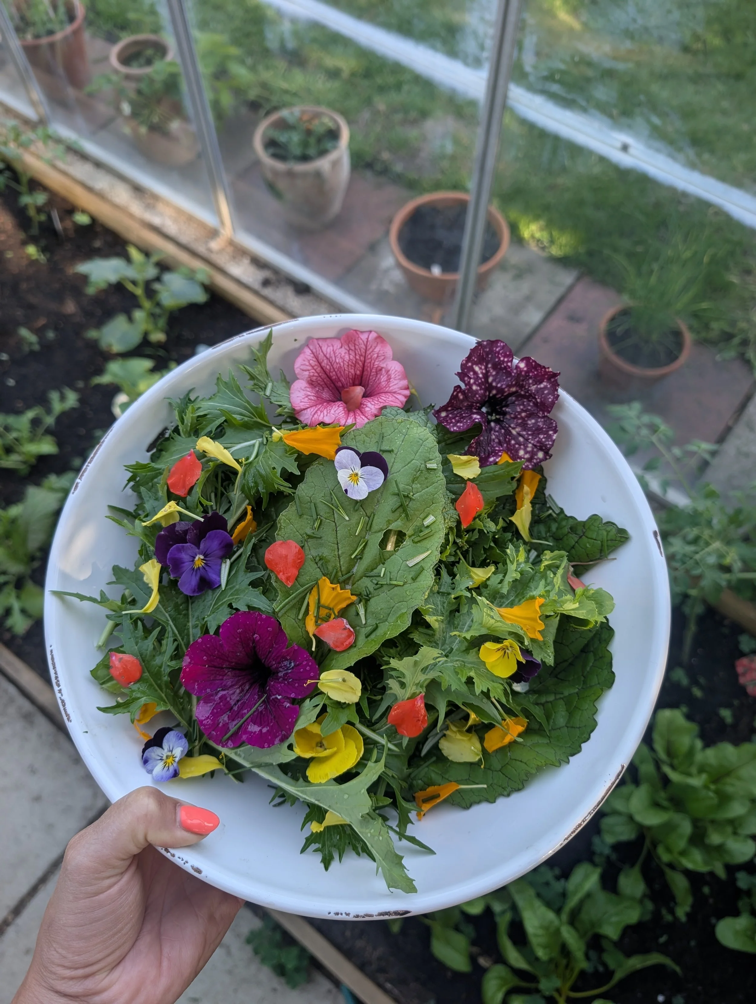 a bowl of delicious salad incorporating edible colourful flowers