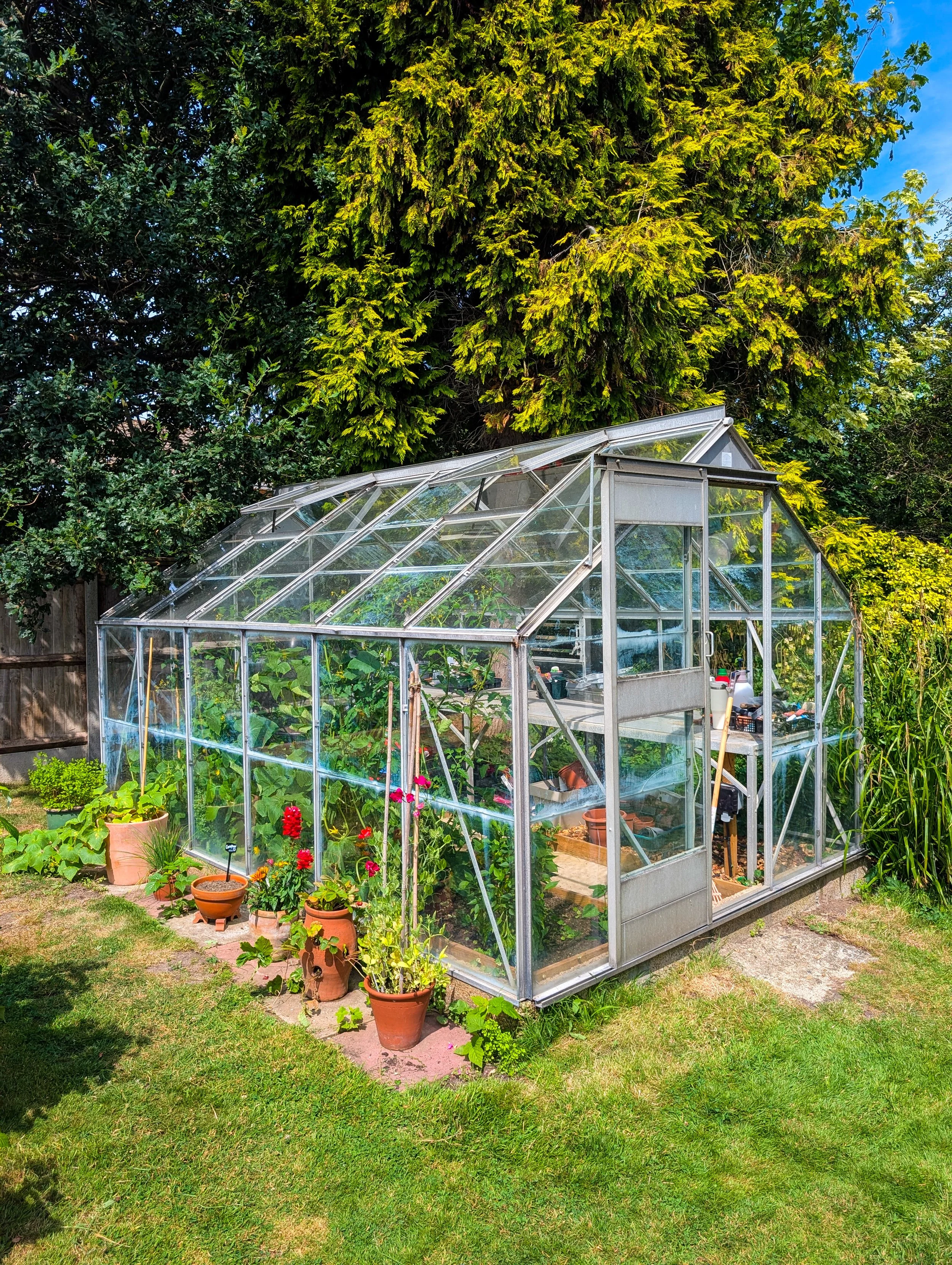 A backyard garden with a greenhouse filled with plants, potted flowers, and surrounding trees under a partly cloudy sky.