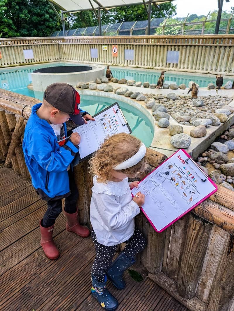 Zoo3_800px.jpg