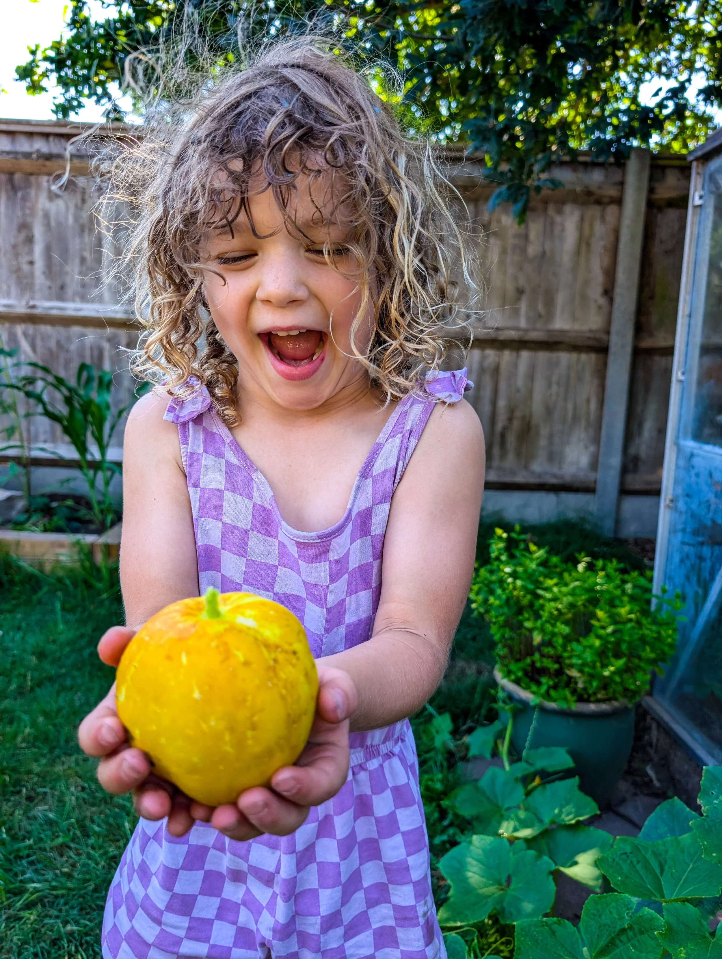 A young girl with curly hair and a purple checkered dress is standing in a garden, happily holding a yellow pumpkin towards the camera. The background features a wooden fence and lush green plants.