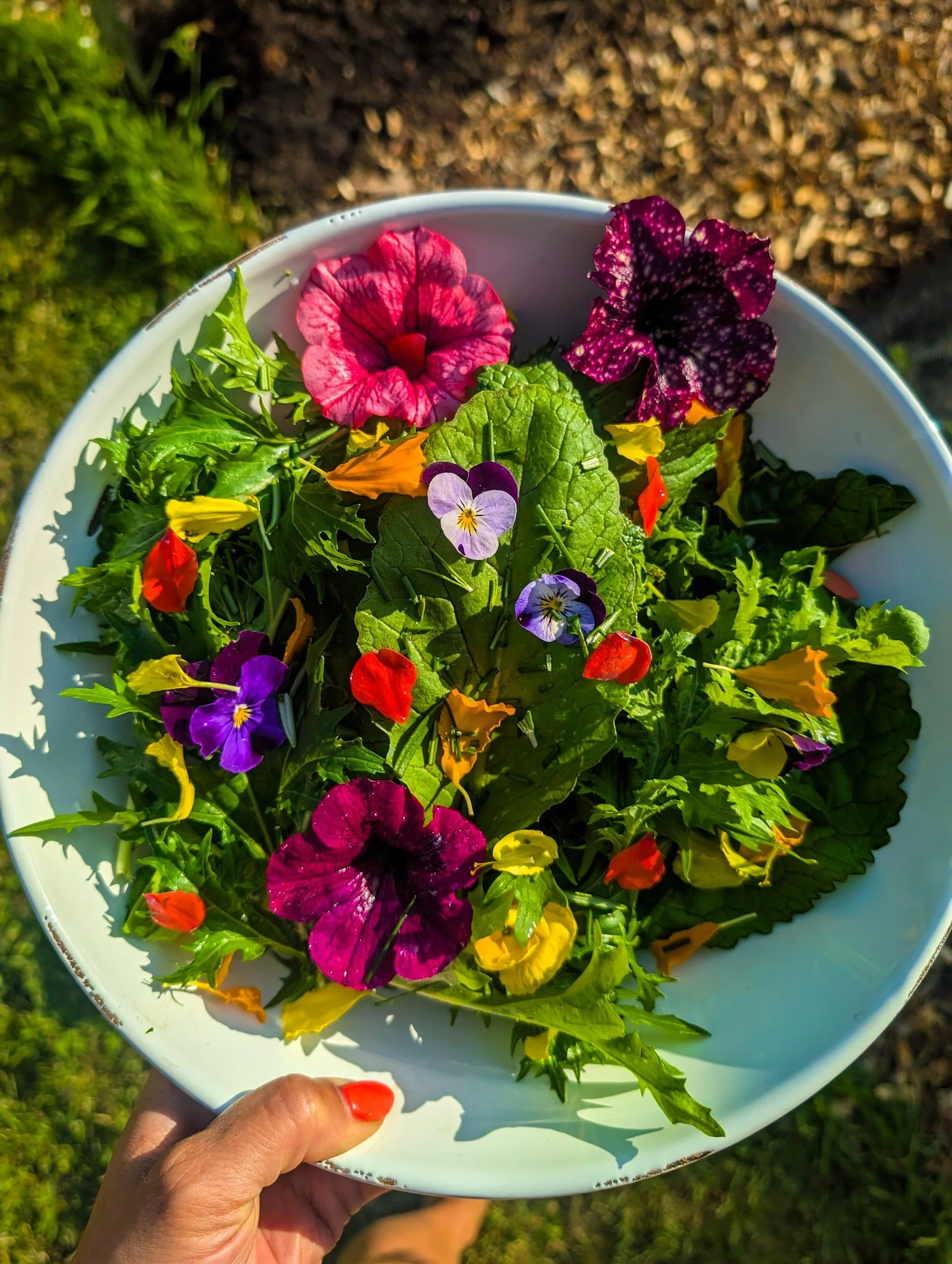 a bowl of delicious salad incorporating edible colourful flowers