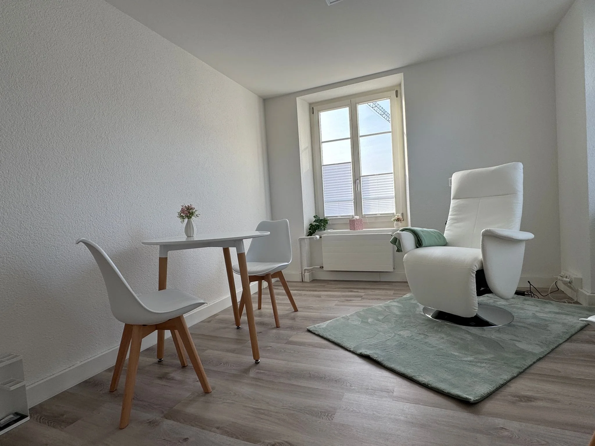 Ein modernes, helles Wohnzimmer mit einem weißen Sessel, einem kleinen Esstisch mit zwei weißen Stühlen, einer Zimmerpflanze, einem Fenster und einer hellgrauen Teppich.