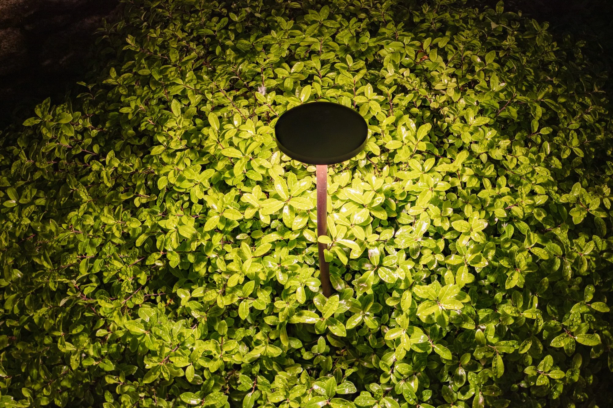 Light&Design - Shrewsbury Road-web-18.jpg