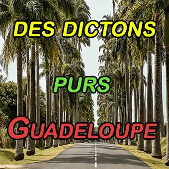 LES DICTONS EN CRÈOLE DE SAGESSE GUADELOUPÈEN.