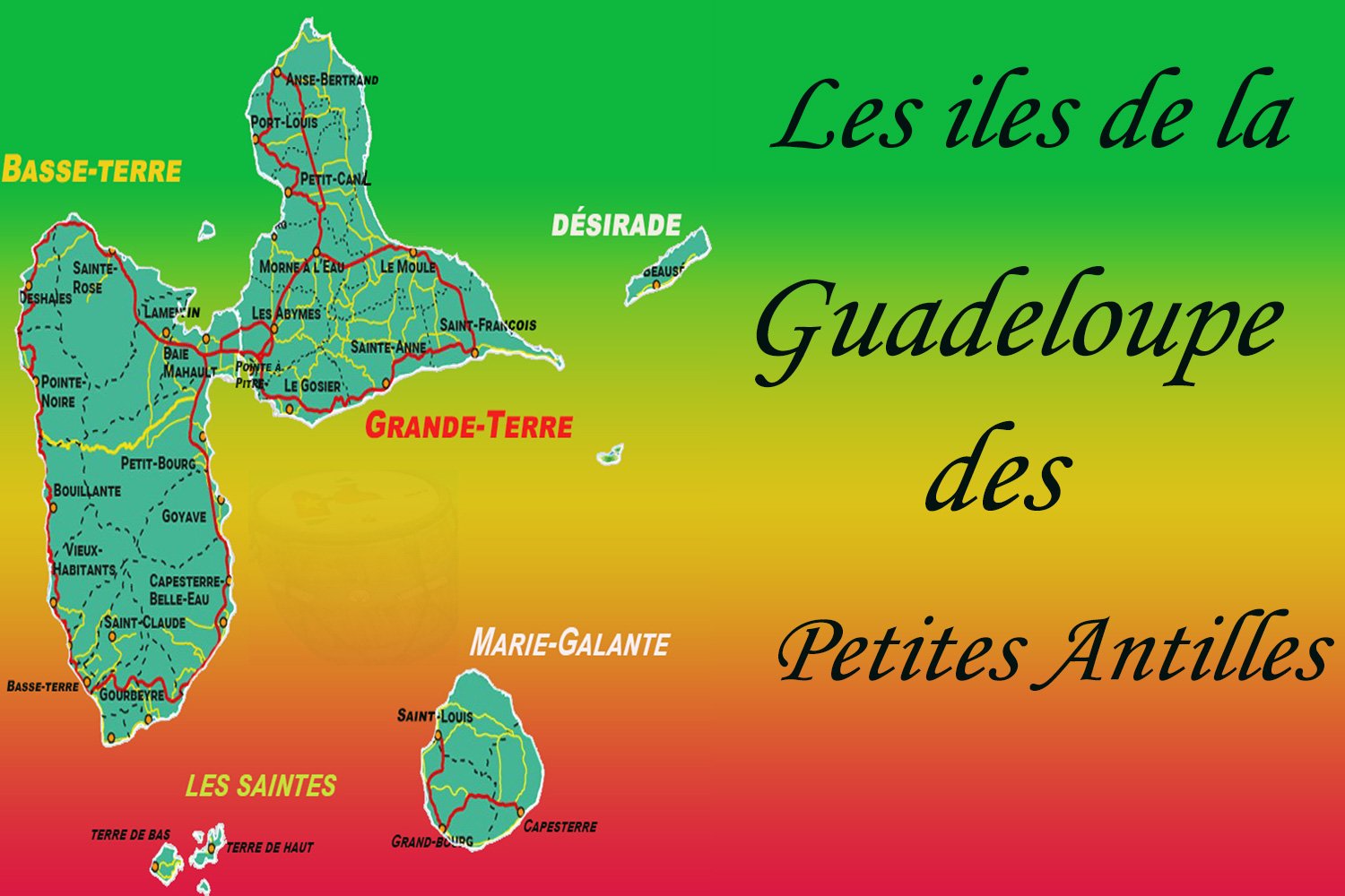 Les ailes de papillon de l’îles de la Guadeloupe !