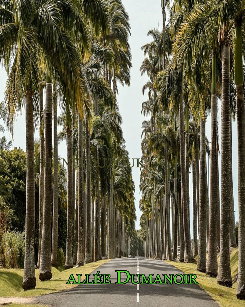 allée Dumanoir à Capesterre-Belle-Eau en Guadeloupe