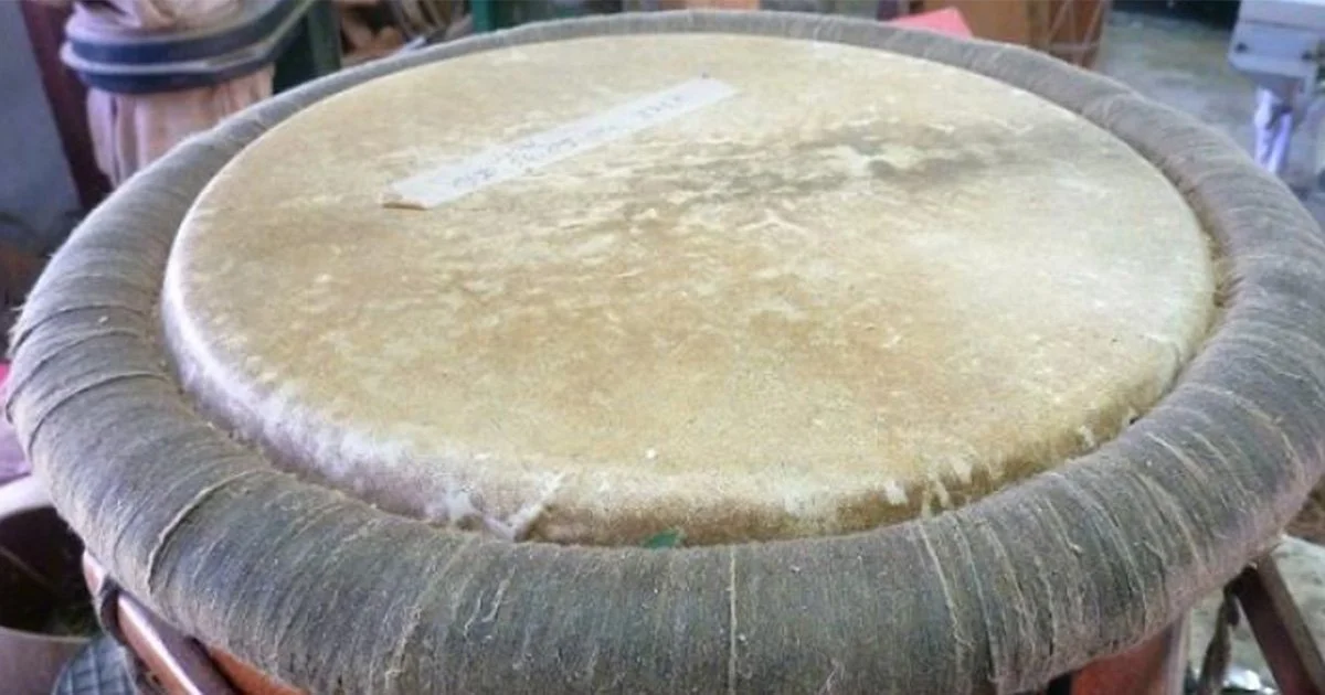 La fine peau pour la fabrication du tambour KA