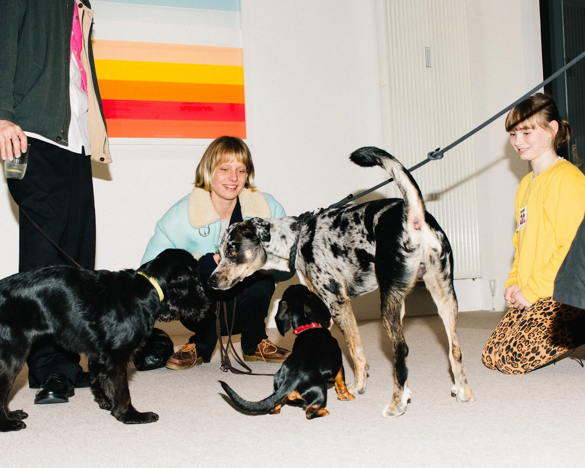lifestyle-photography-berlin-dogs-social-event-portrait-till.jpg